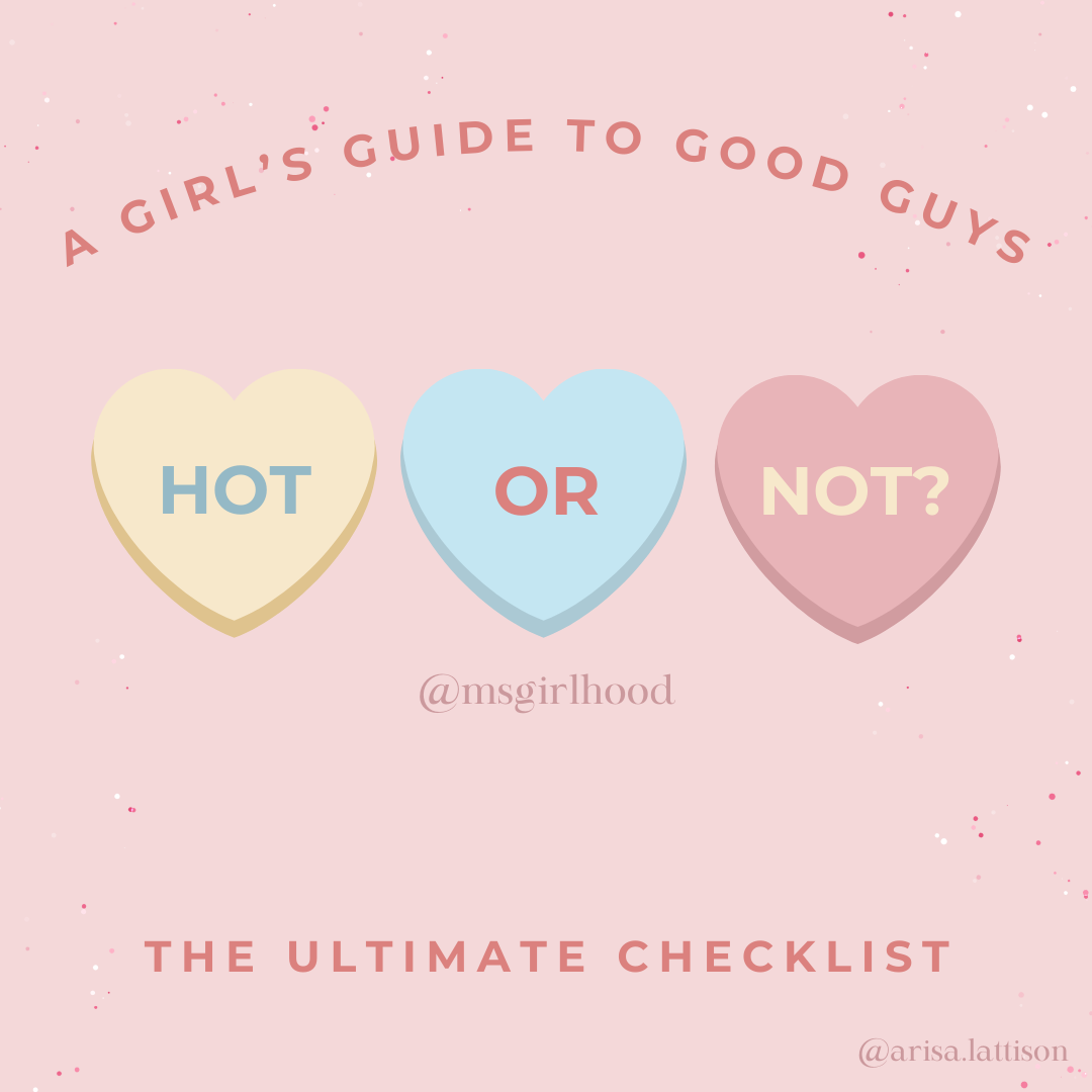 girls guide to good guys