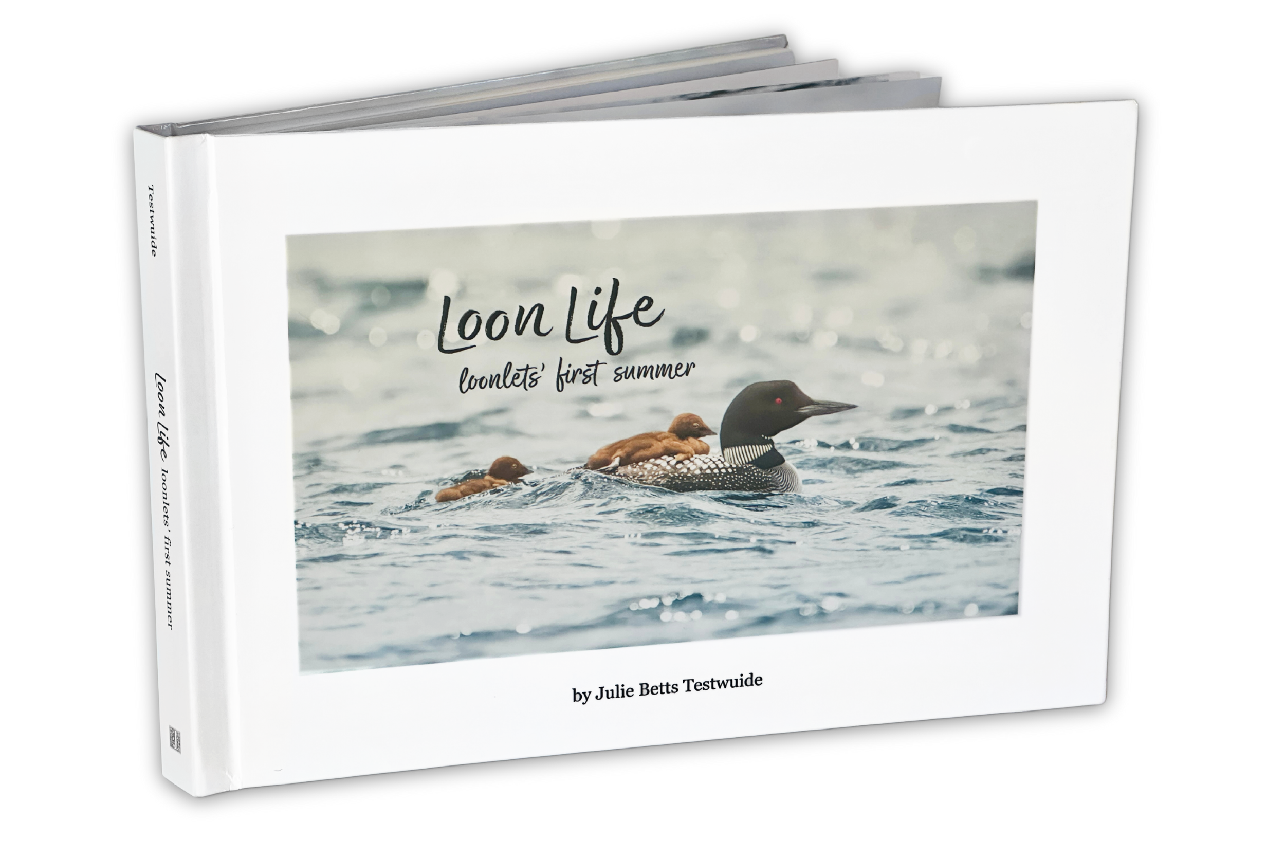 loonlifebook-lightenedfeb25.png