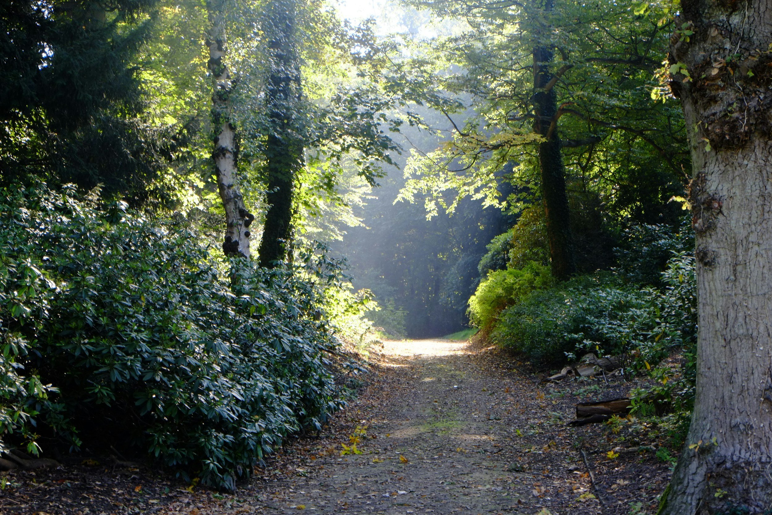 AN UNPOPULAR OPINION: NATURE BORES ME