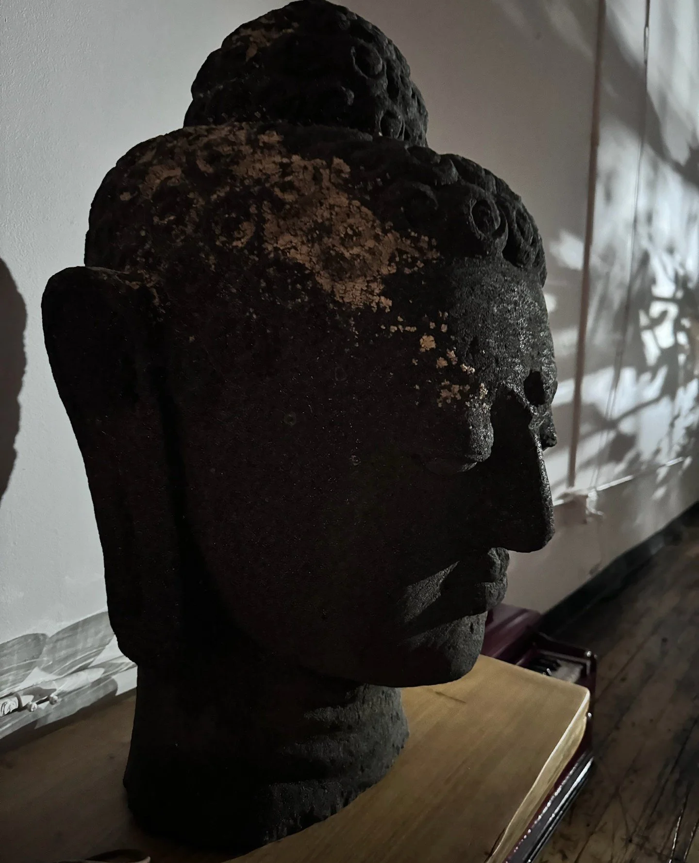 Calm in the dim light, steady through shifting seasons. October invites us to sit with silence, breathe deeply, and find peace in the shadows.