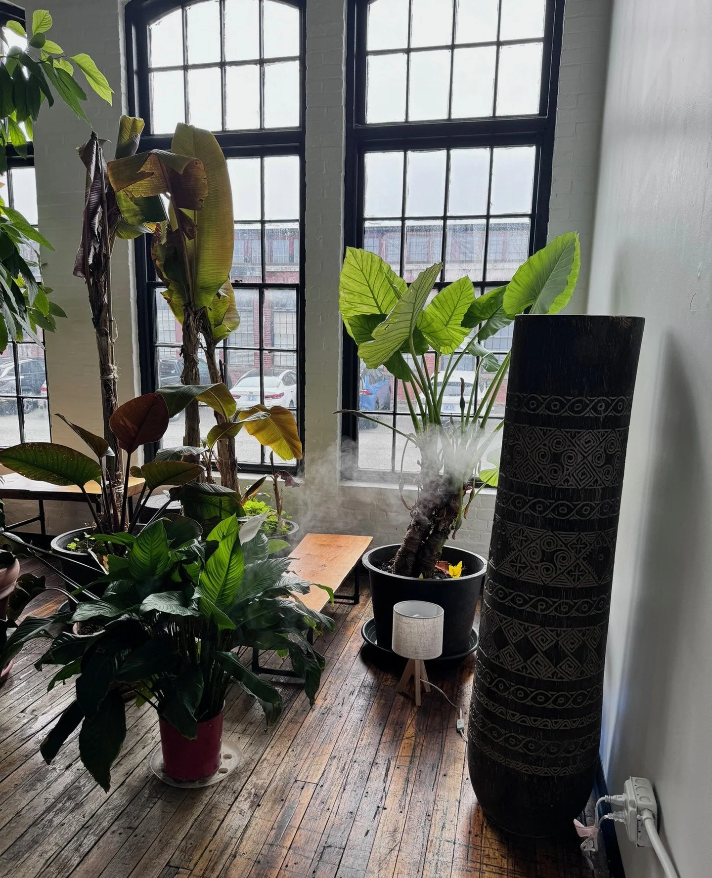 "We grow at the rate we grow.  Some of us are morning glories, some giant pines.  Each step of the way has its beauty and meaning; there is no rushing the process of coming to full flower. As growing my garden has taught me, the only place we'll