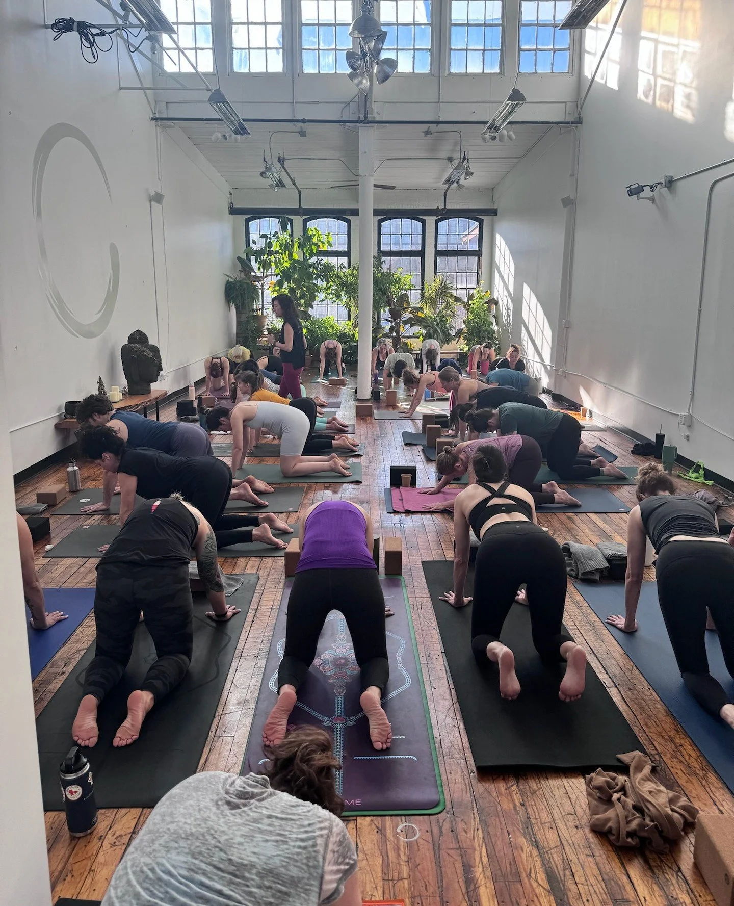 "We feel one of Yoga's most fundamental truths, impermanence,  constantly in yoga: poses shift, balance wavers, the mind flickers, the breath changes moment to moment. Through practice, we learn to notice these fluctuations &mdash;and our reacti
