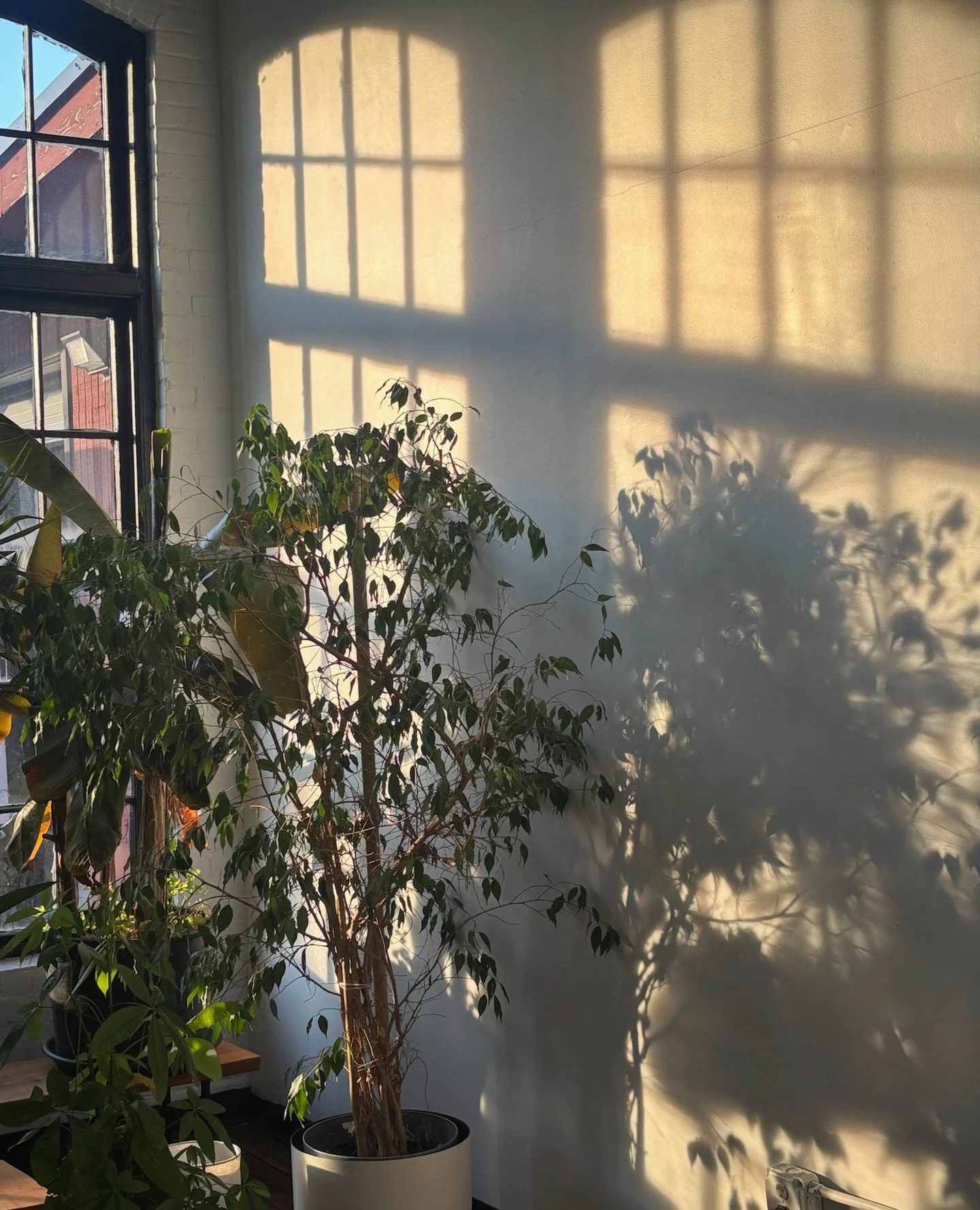 May the light of your own heart and spirit illuminate the path ahead this new year and lead you towards your dharma. . .