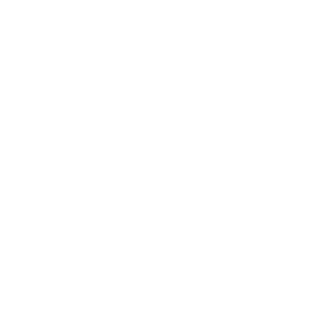 500 Level logo.png