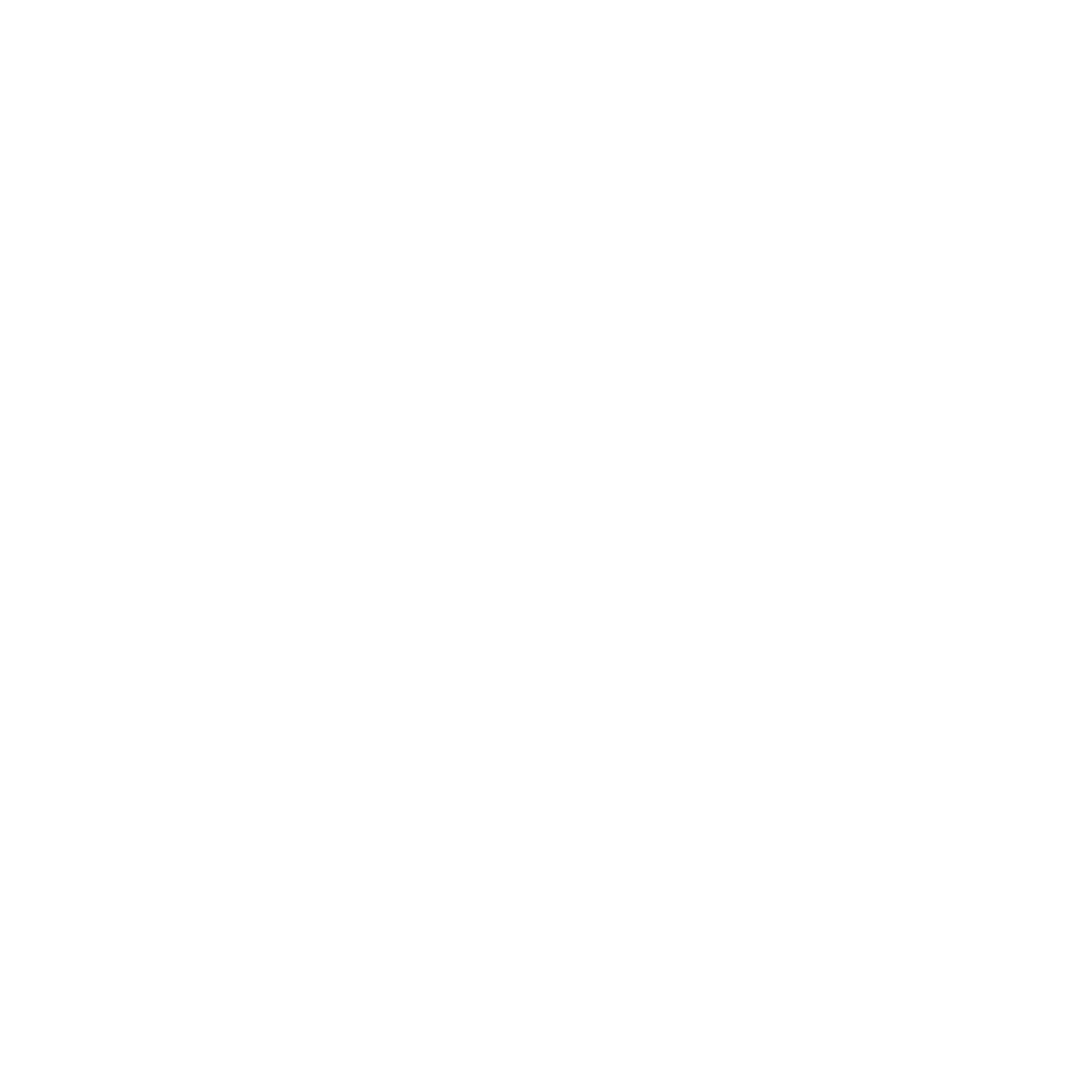 Hey Dude Logo.png