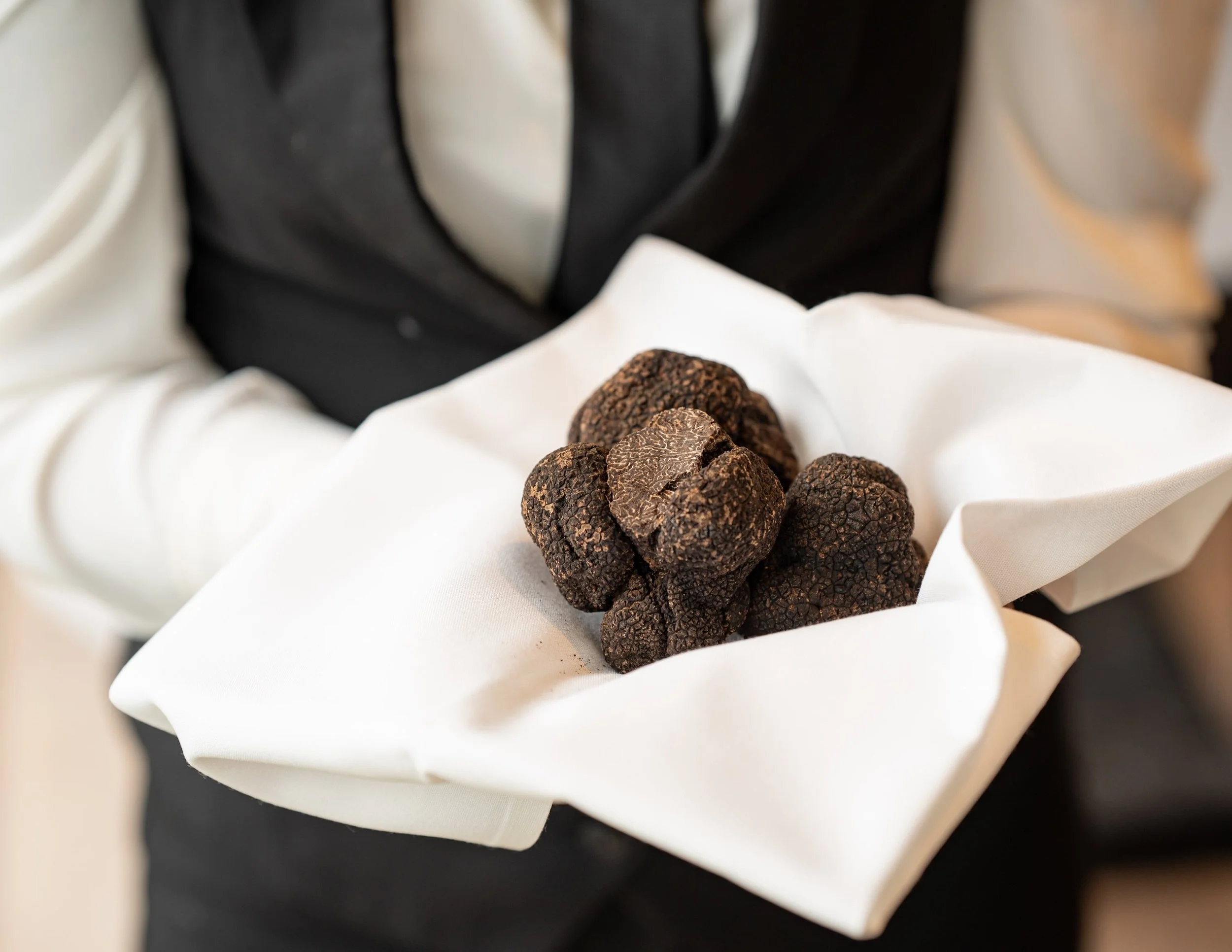 Truffle degustation dinner                 wednesday 29th july