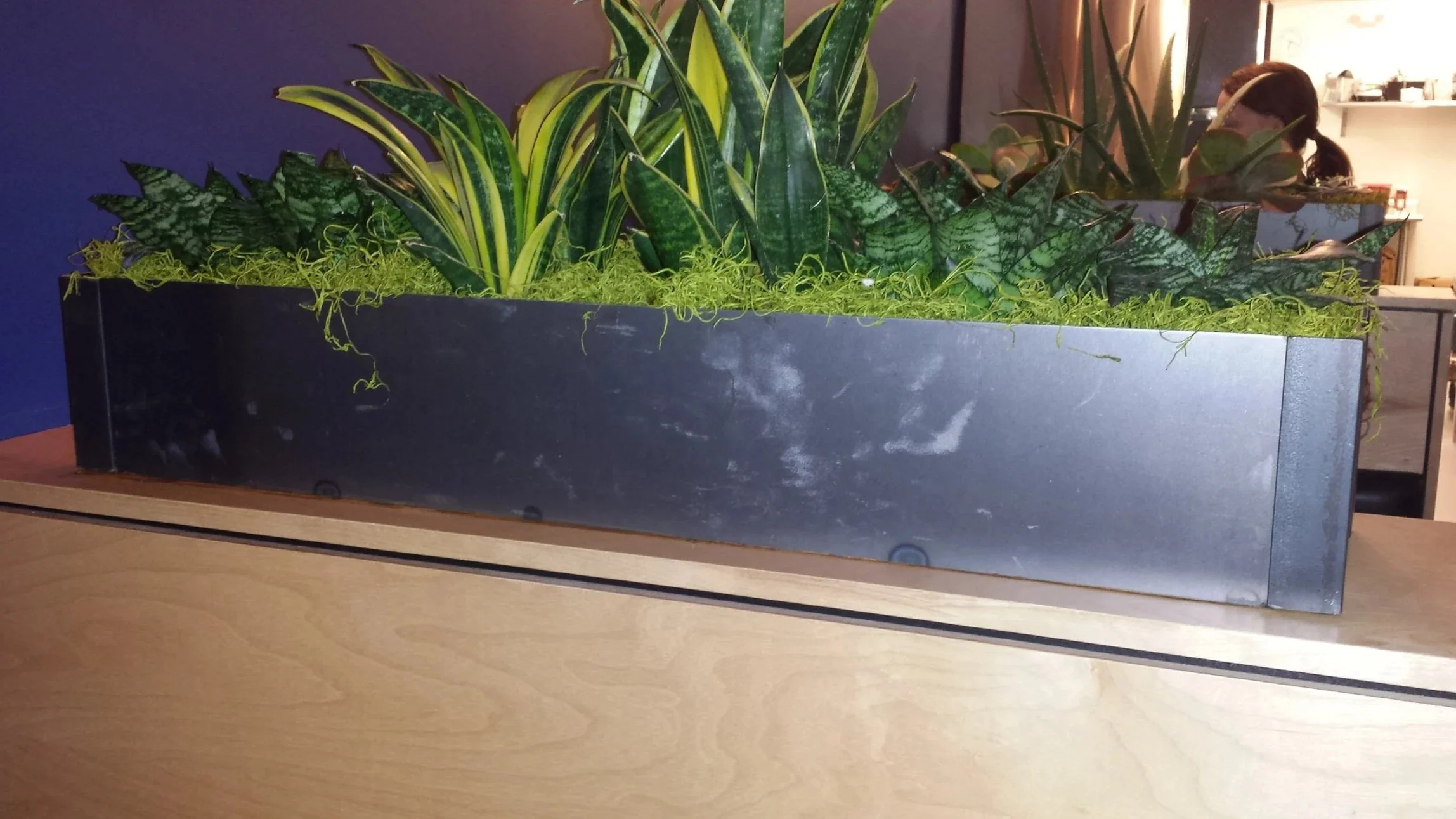 2014-01-06+18.21.26.jpg