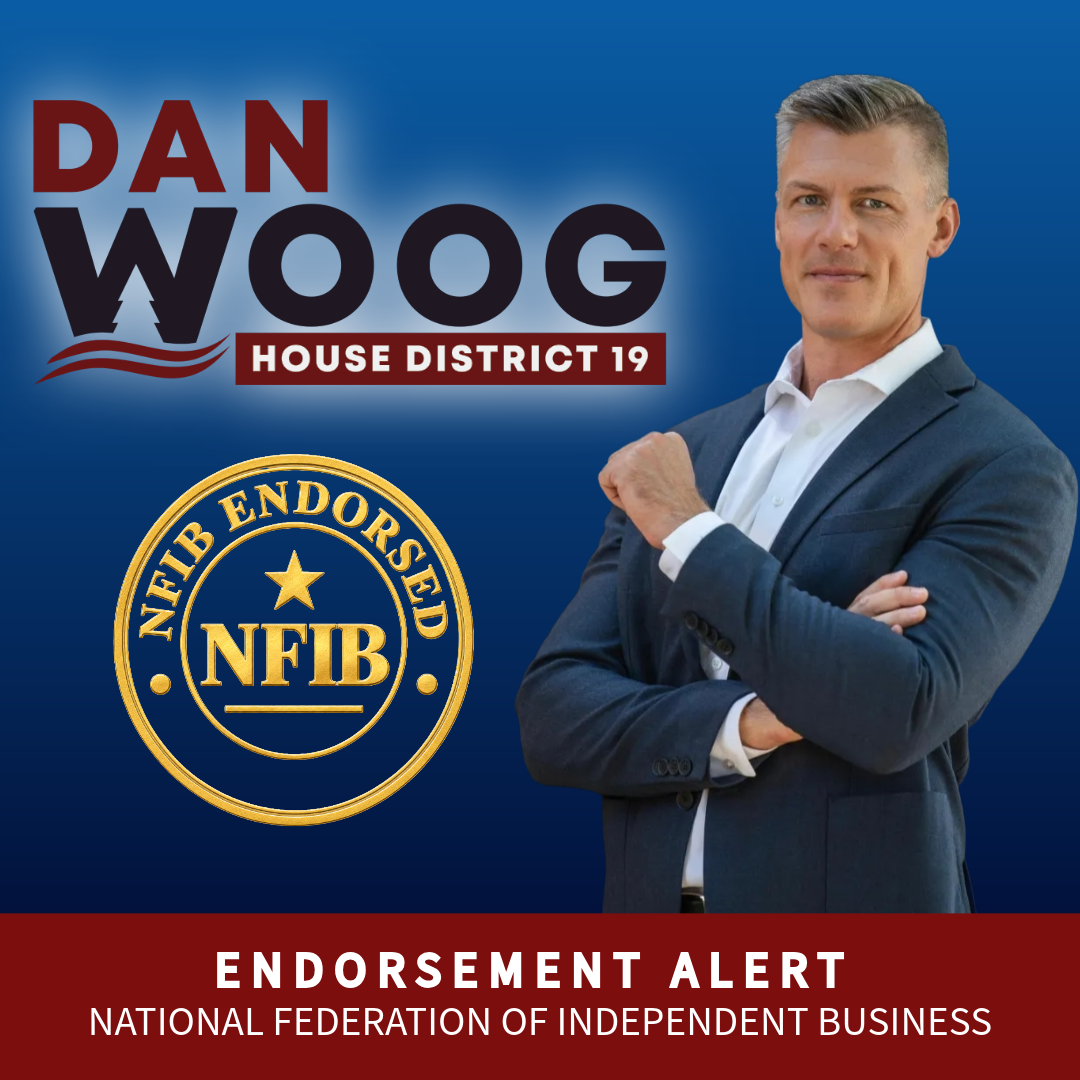 Political campaign poster featuring Dan Woog for House District 19, endorsed by the NFIB. The poster has a blue background, a portrait of Dan Woog in a suit, and text highlighting his name and endorsement.