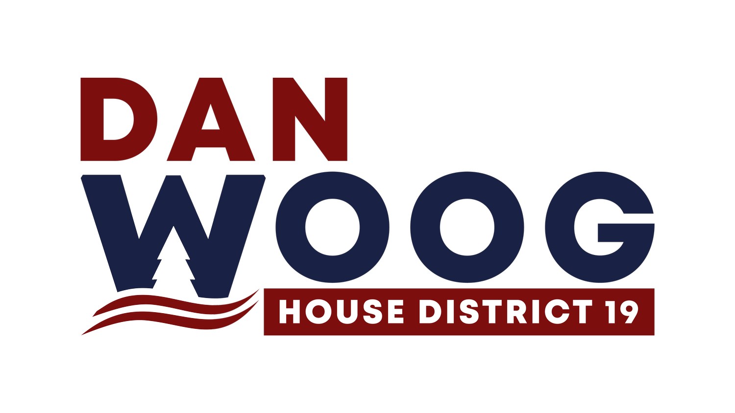 Dan Woog for House District 19