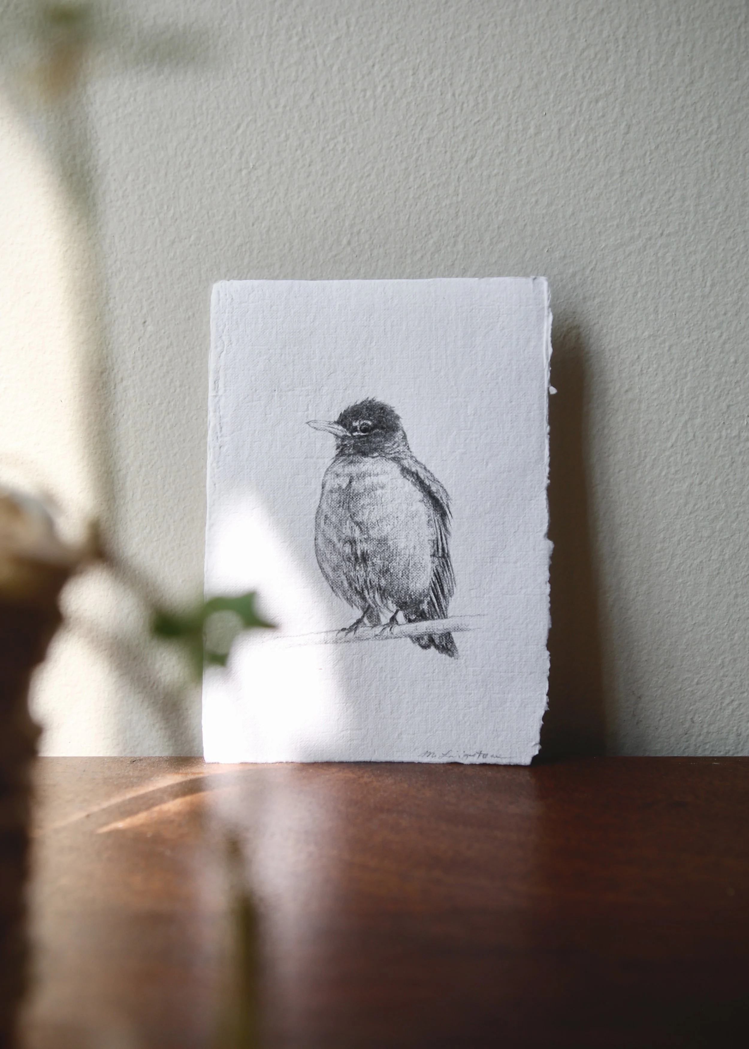 The Robin
