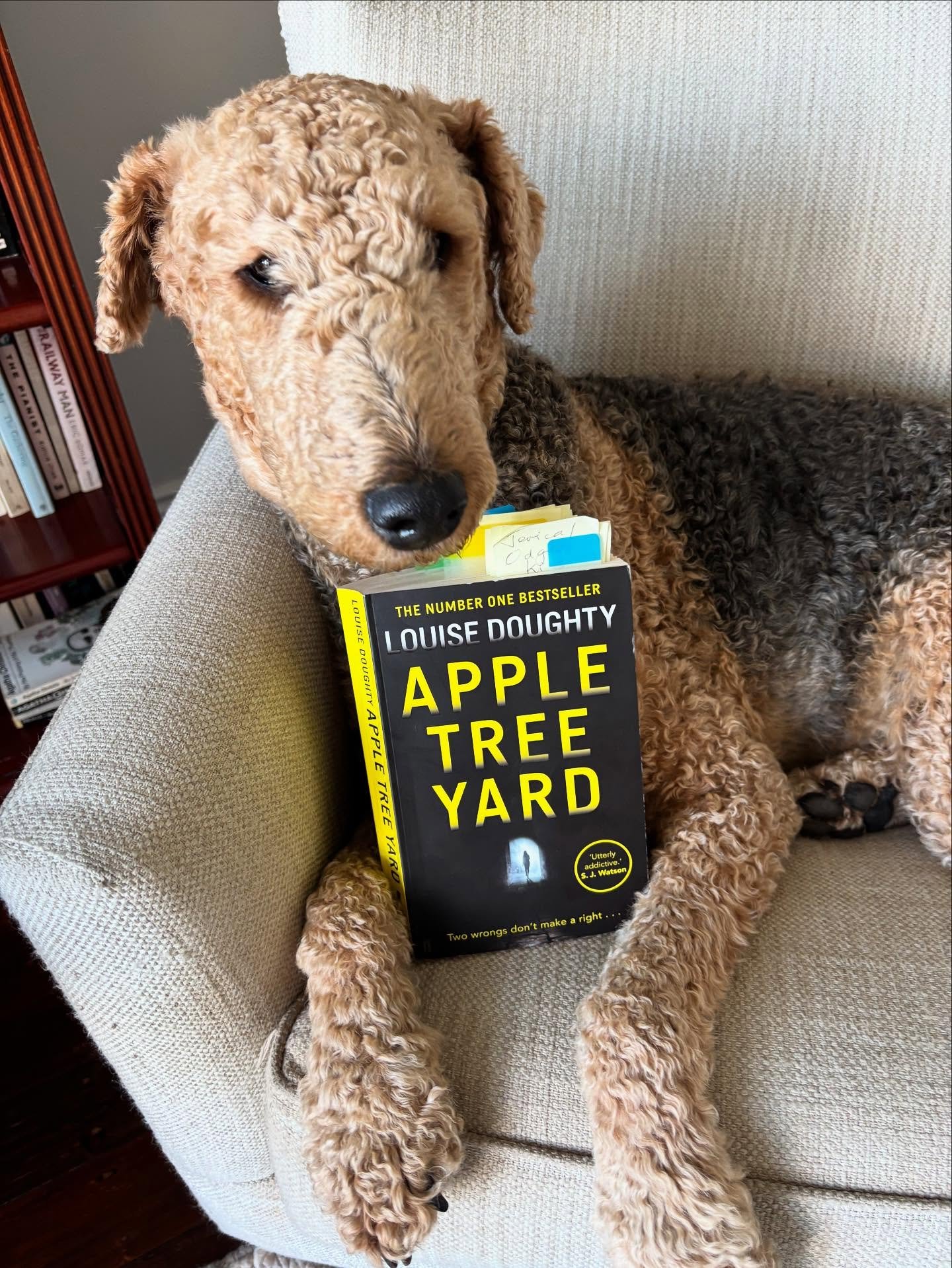 &lsquo;Apple Tree Yard&rsquo; by @louisedoughtyauthor is a courtroom drama that had me rivetted from the first page. Yvonne Carmichael is a high-flying geneticist, married to her university sweetheart, with two adult children, living in the burbs in 