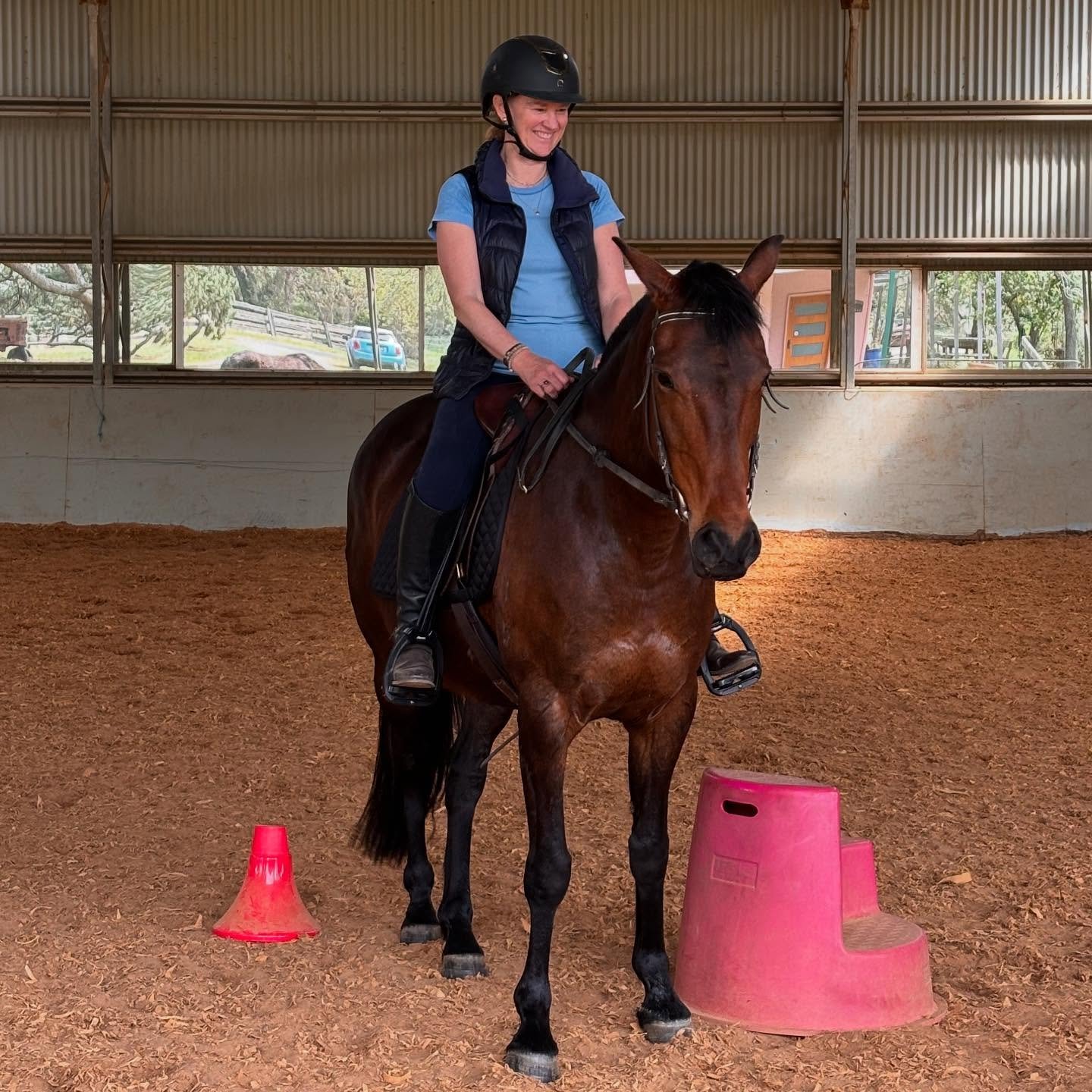 When you were bred to do mustering and drafting but your mum&rsquo;s a middle-aged, empty-nester who calls you her &lsquo;Little Man.&rsquo;🐴🧡
(Photo credit first photo: Celeste Walker)

#lynnejohnsonauthor #authorslife
#zebstockhorse #stockhorseso