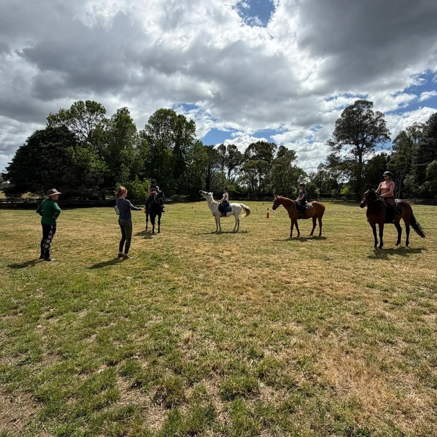 Had a great time at Hollyhall Farm last weekend as part of the line up when Jan Chesterfield-Evans put Jacqui Basquil @jacquib223 through her paces for her instructor&rsquo;s qualification. See below,Jan strutting her stuff. 
#hollyhallfarm #southern