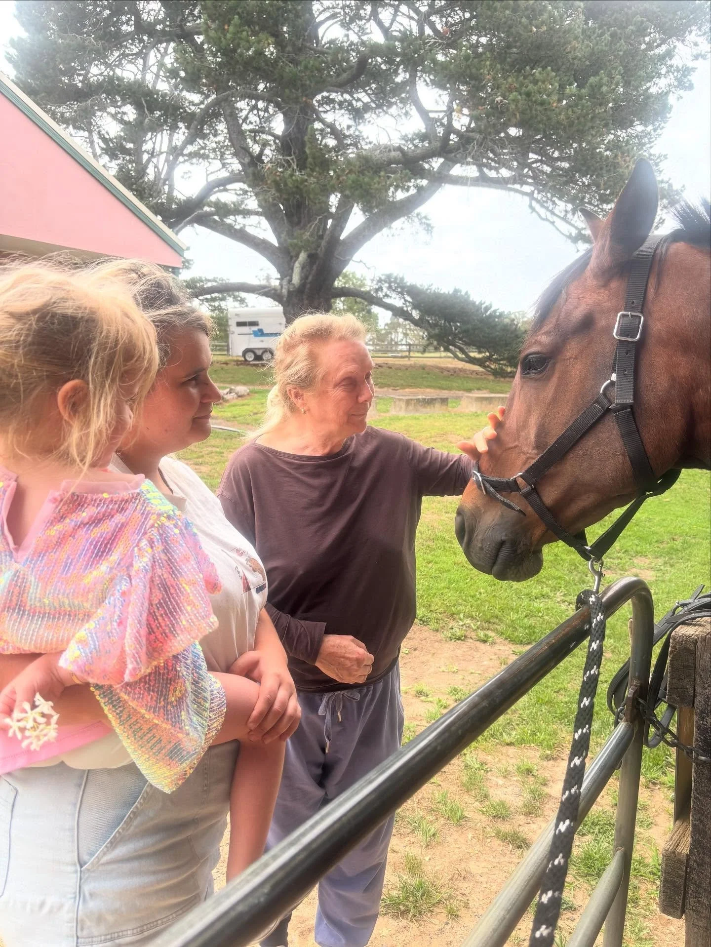 Horses notice everything - new smells , colours, clothes and textures. Zeb just had to stop our ride today to take a closer look at  Layla&rsquo;s sparkly dress. He was rewarded for being a &lsquo;sticky beak&rsquo; when Rose gave him a carrot. Such 