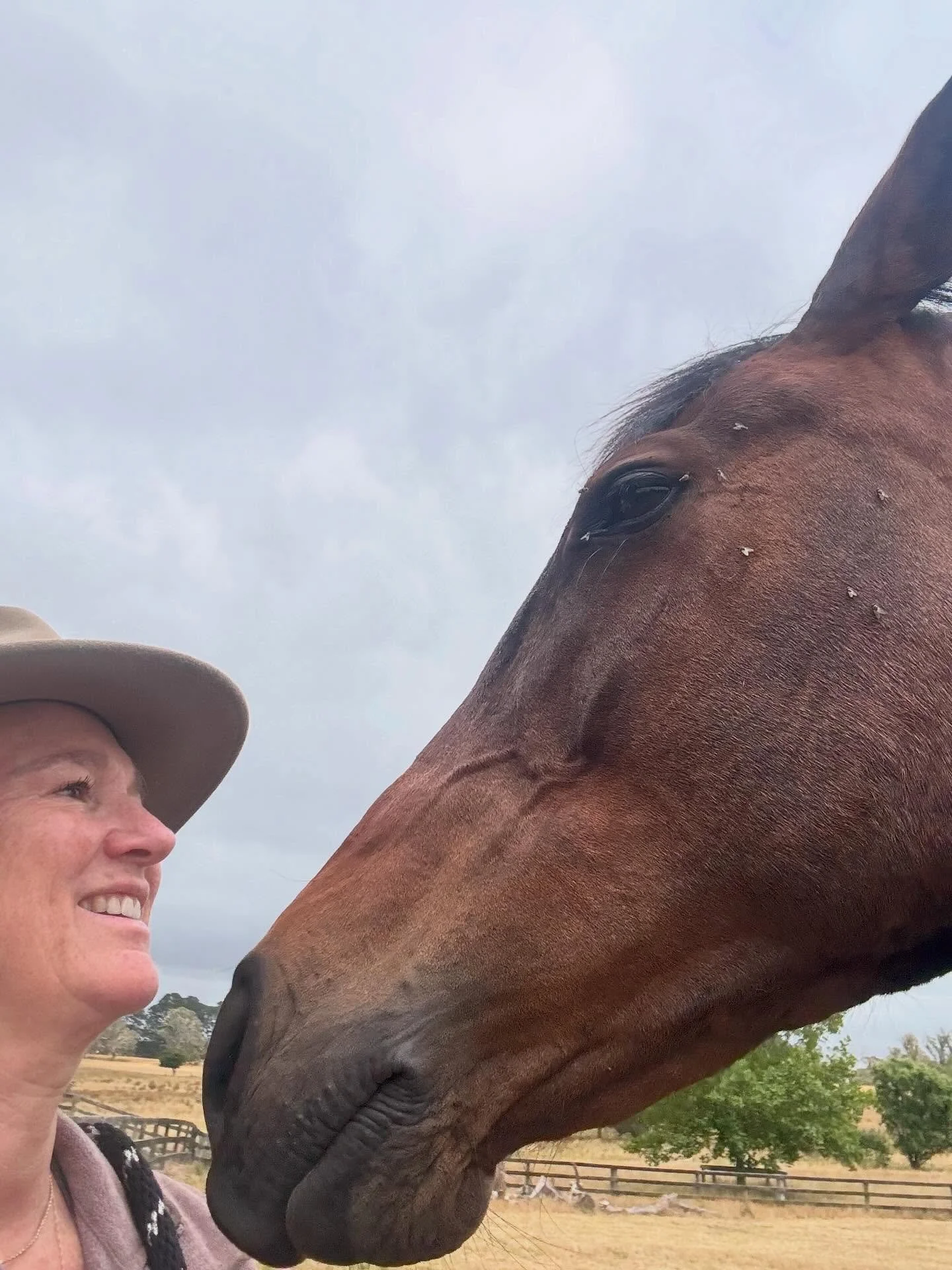 Did you know:
💪what horses need more than love is trust 
🐴the best way to say thank-you to your horse is to relax- breath out, relax your body and be still for 10 seconds 
👀eye contact means your horse is connected to you 
🚶&zwj;♀️never let your 