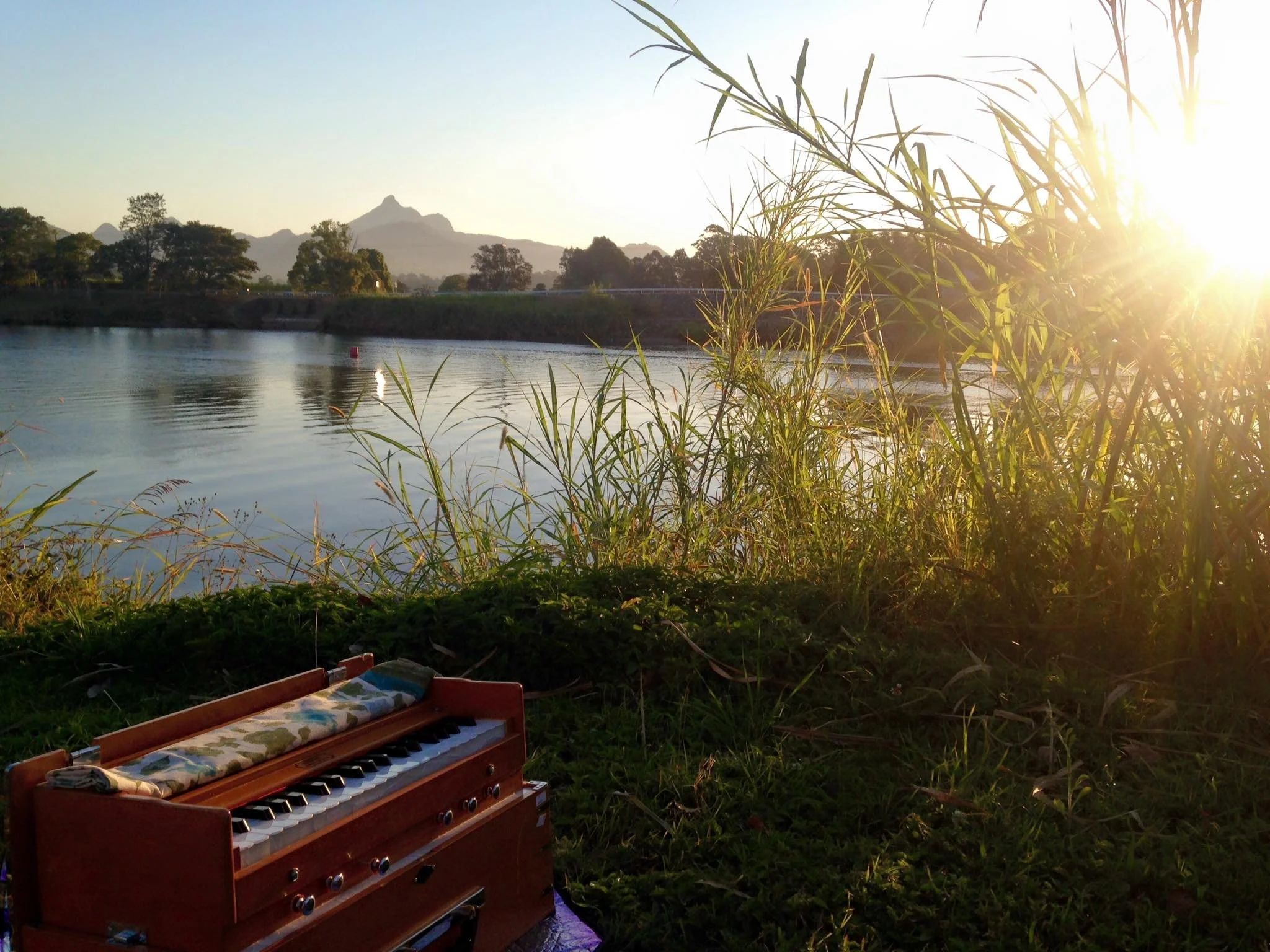 Harmonium & Shruti