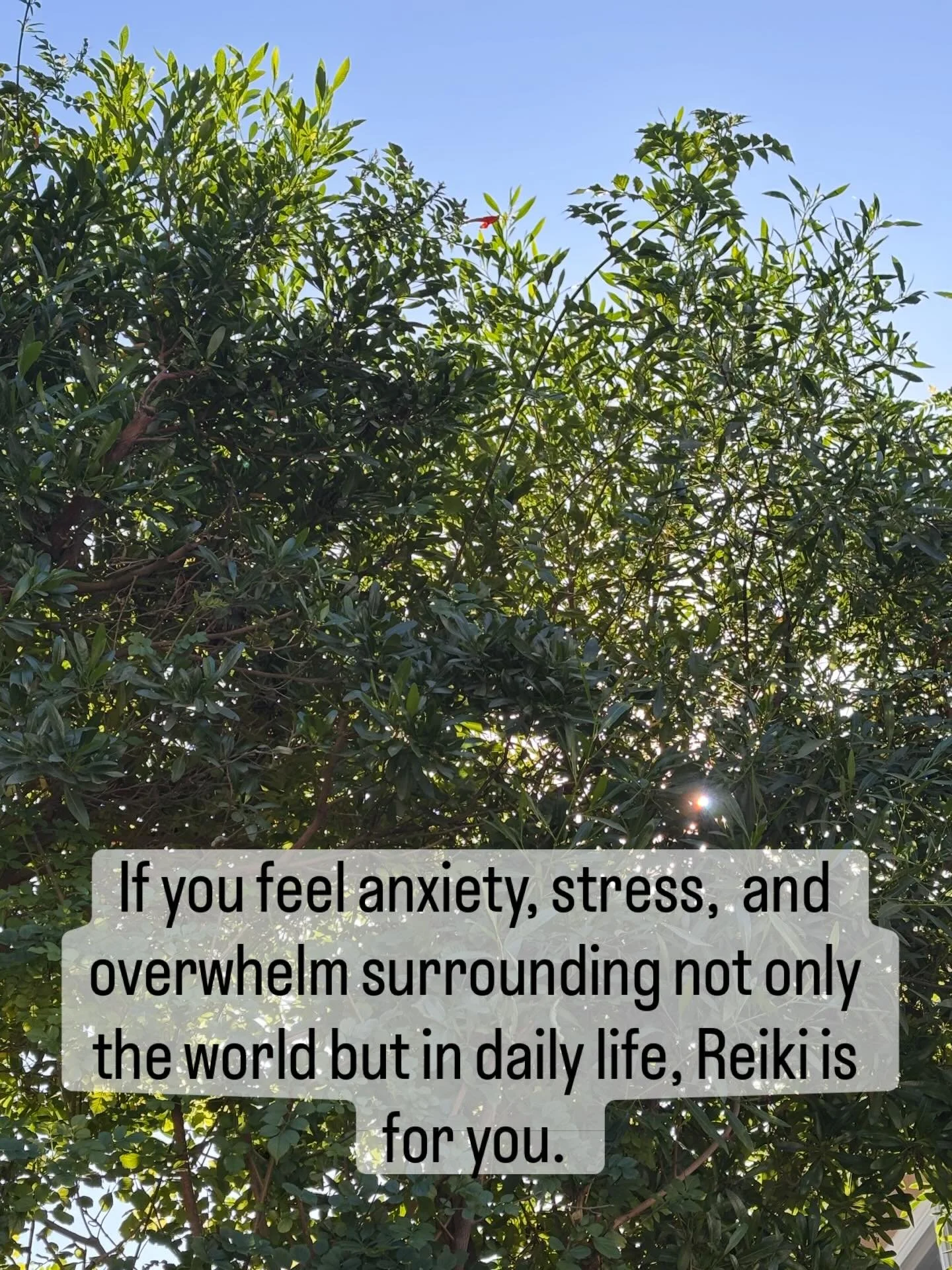 Reiki is for everyone ✨ 

It truly is such a beautiful companion to all phases in our lives. It&rsquo;s there to compliment and assist therapy, healing, and anything else we may face. Reiki supports us, guides us, and offers us a way through. 

#reik