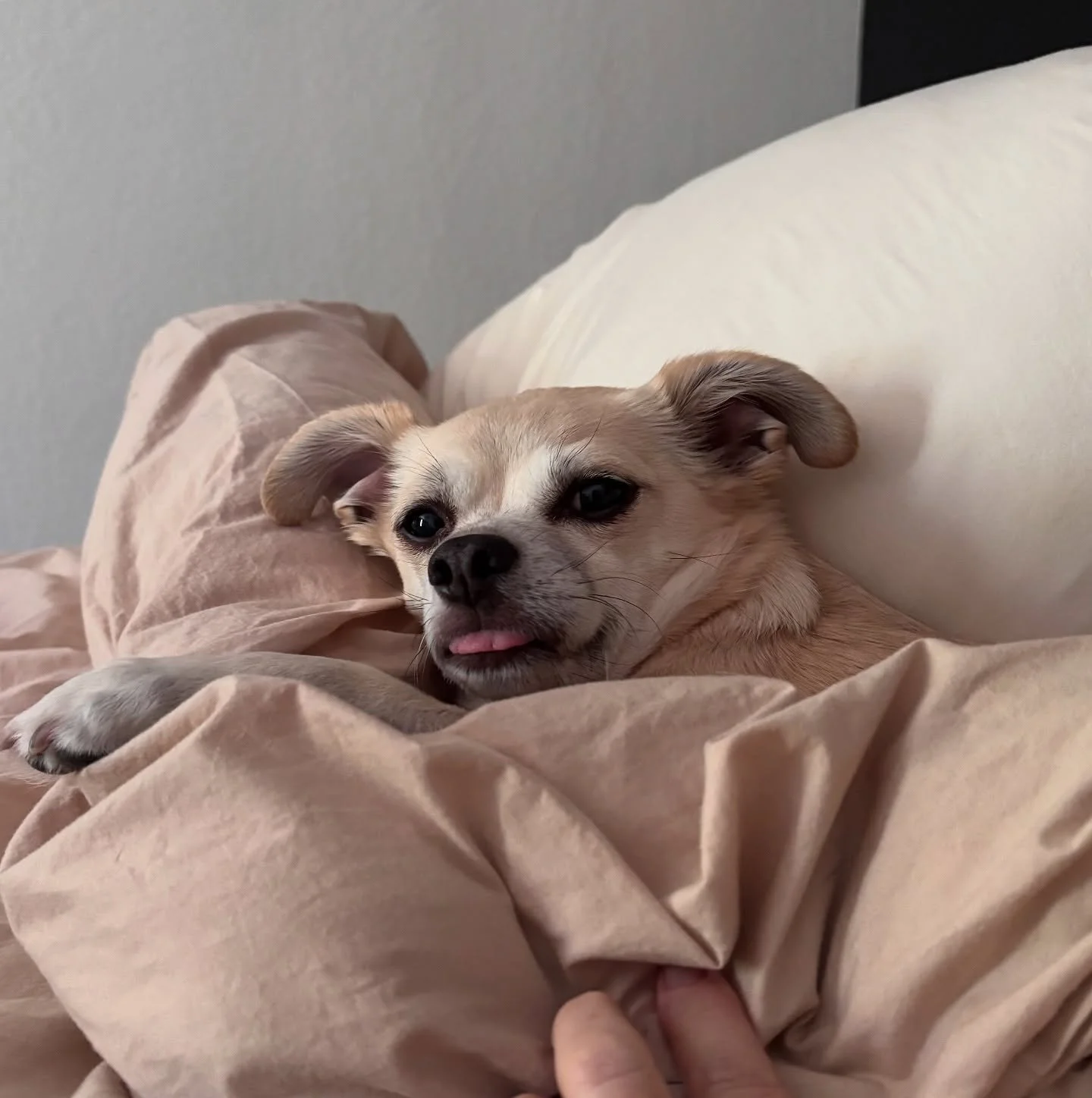 Things that made me smile this week. 

The world is so overwhelming so as a small antidote I created a &ldquo;Happiness Folder&rdquo; on my phone the other day. Just little reminders to look for moments of joy.