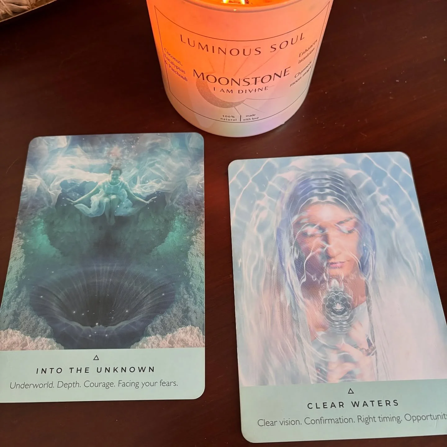 I&rsquo;ve recently taken on a new endeavor and what began as excitement had turned into dread. I&rsquo;ve been in my head about it for the last few months, filled with so much self doubt. I sat with it this morning and connected with my guides, aski
