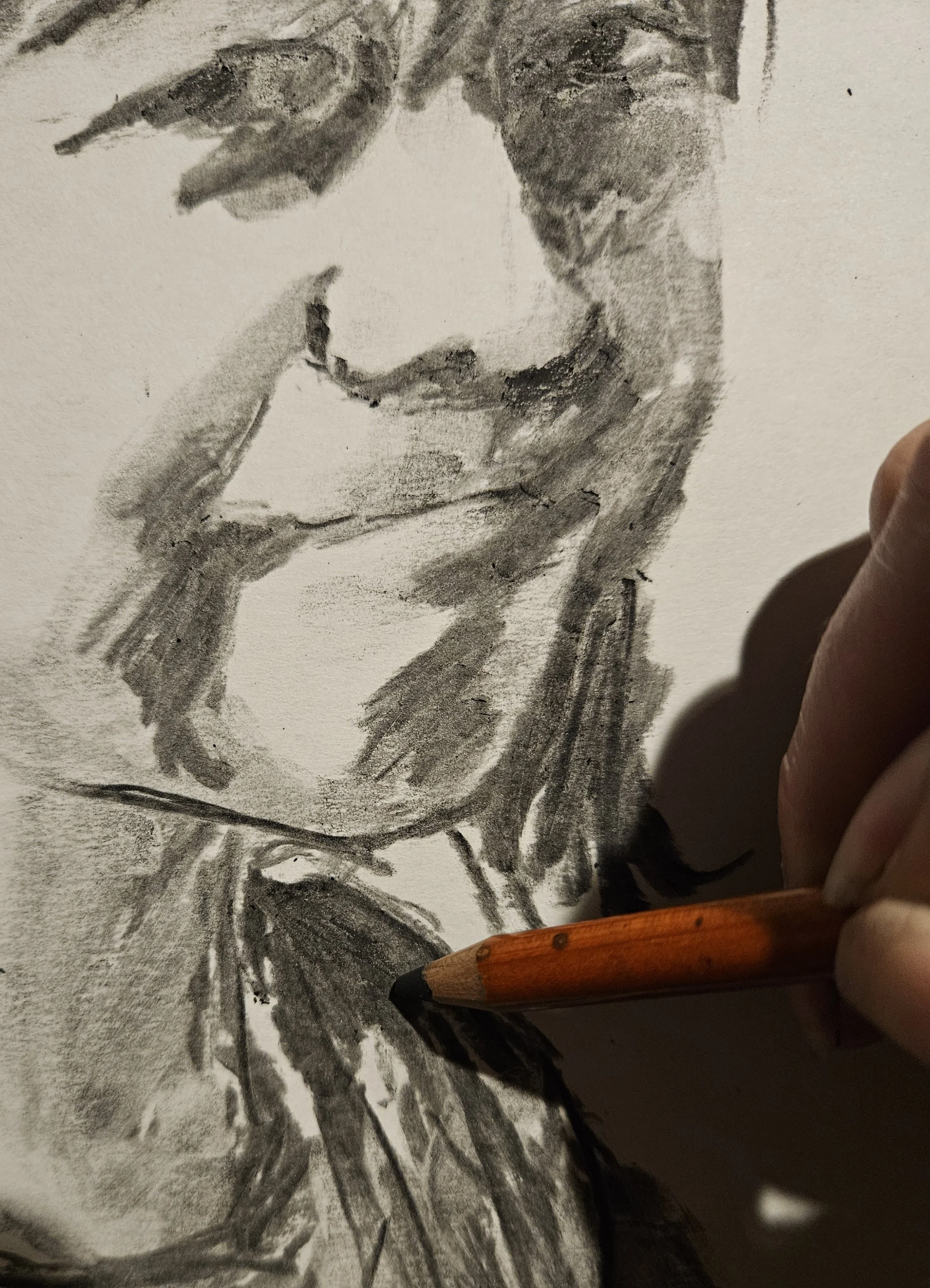 Adult Charcoal Portrait Workshop (14+)