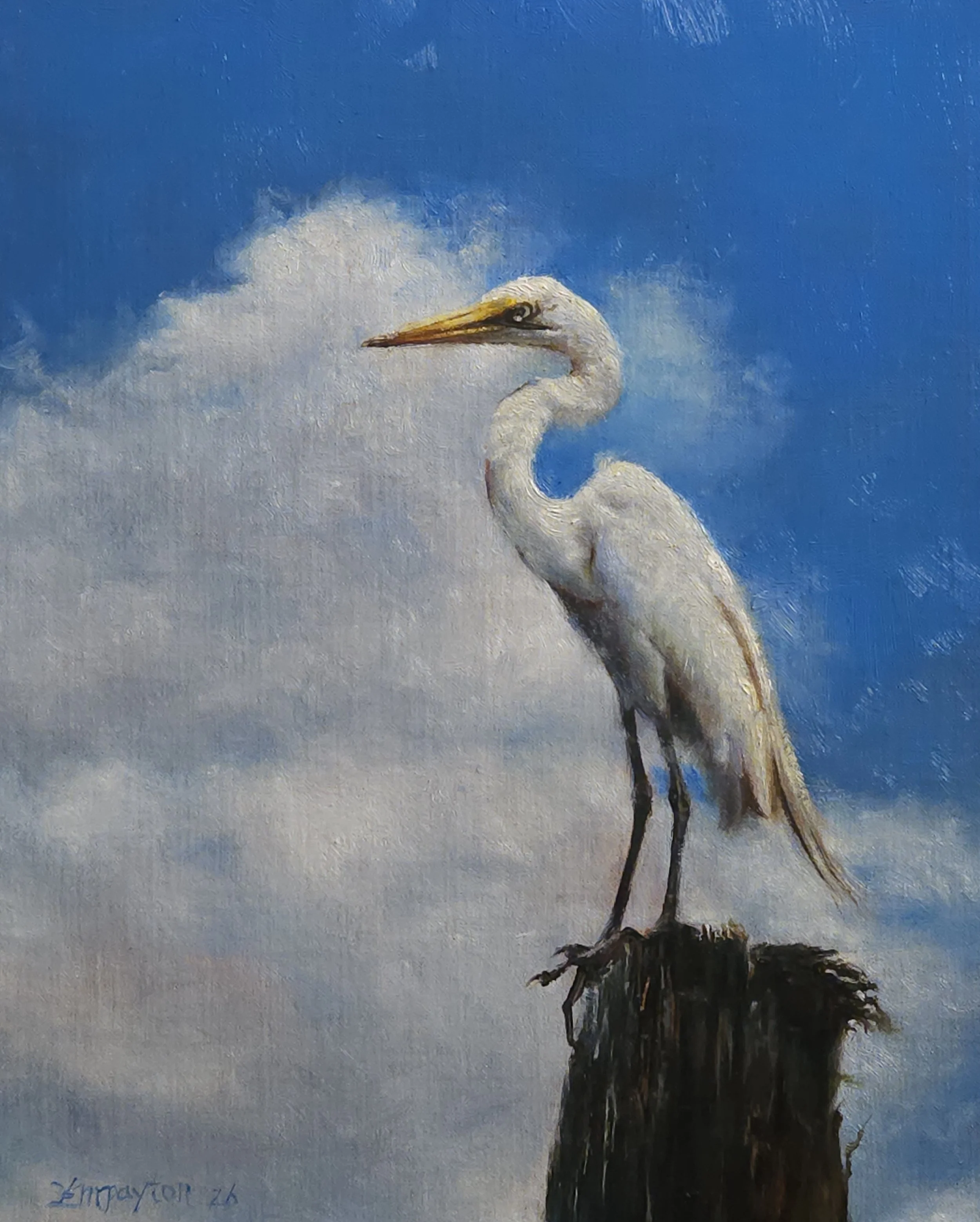 King of the Bayou
10"x8"
Oil on Linen Board
Sold
