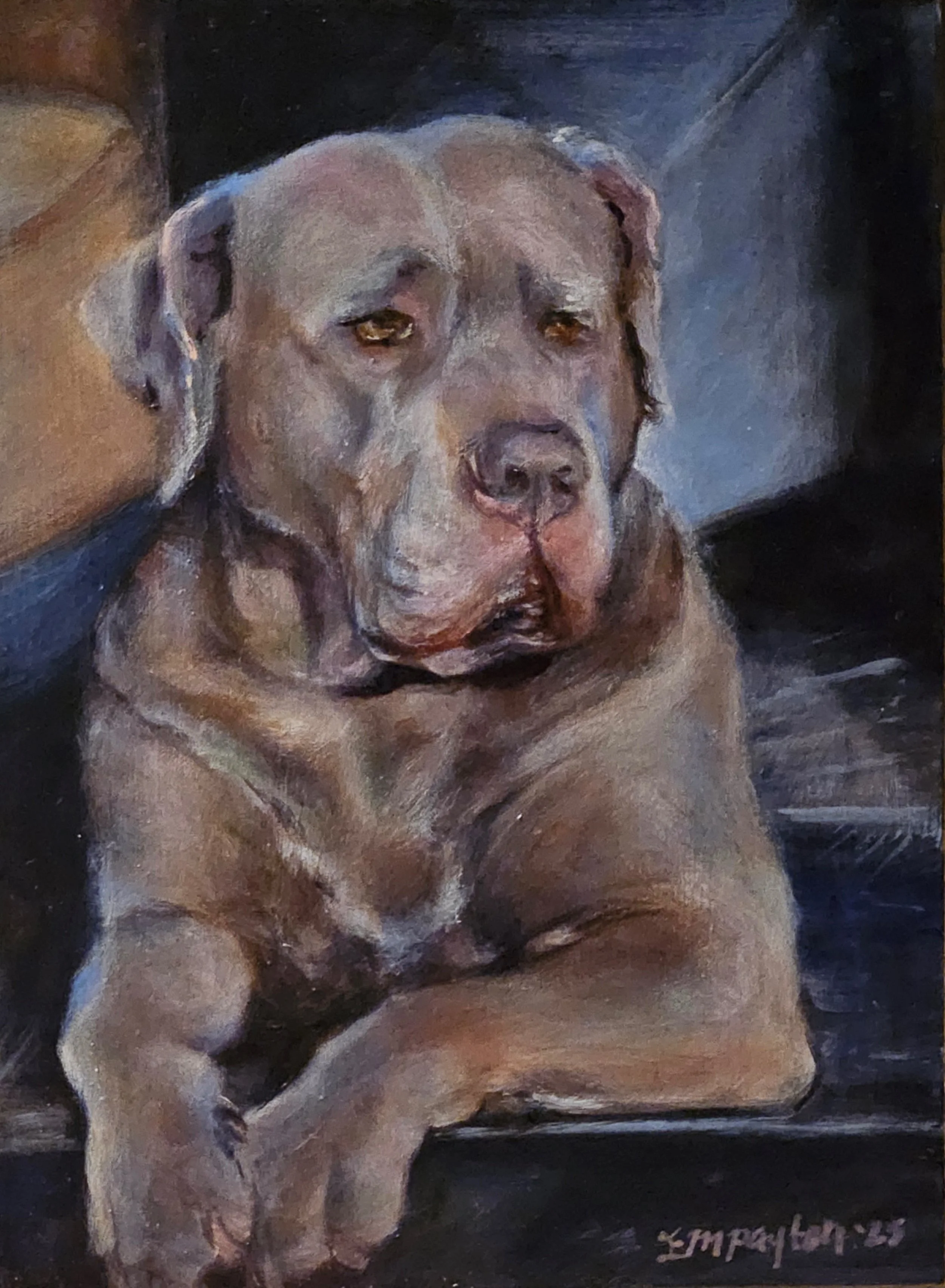 Duke
8"x6"
Acrylic on Board