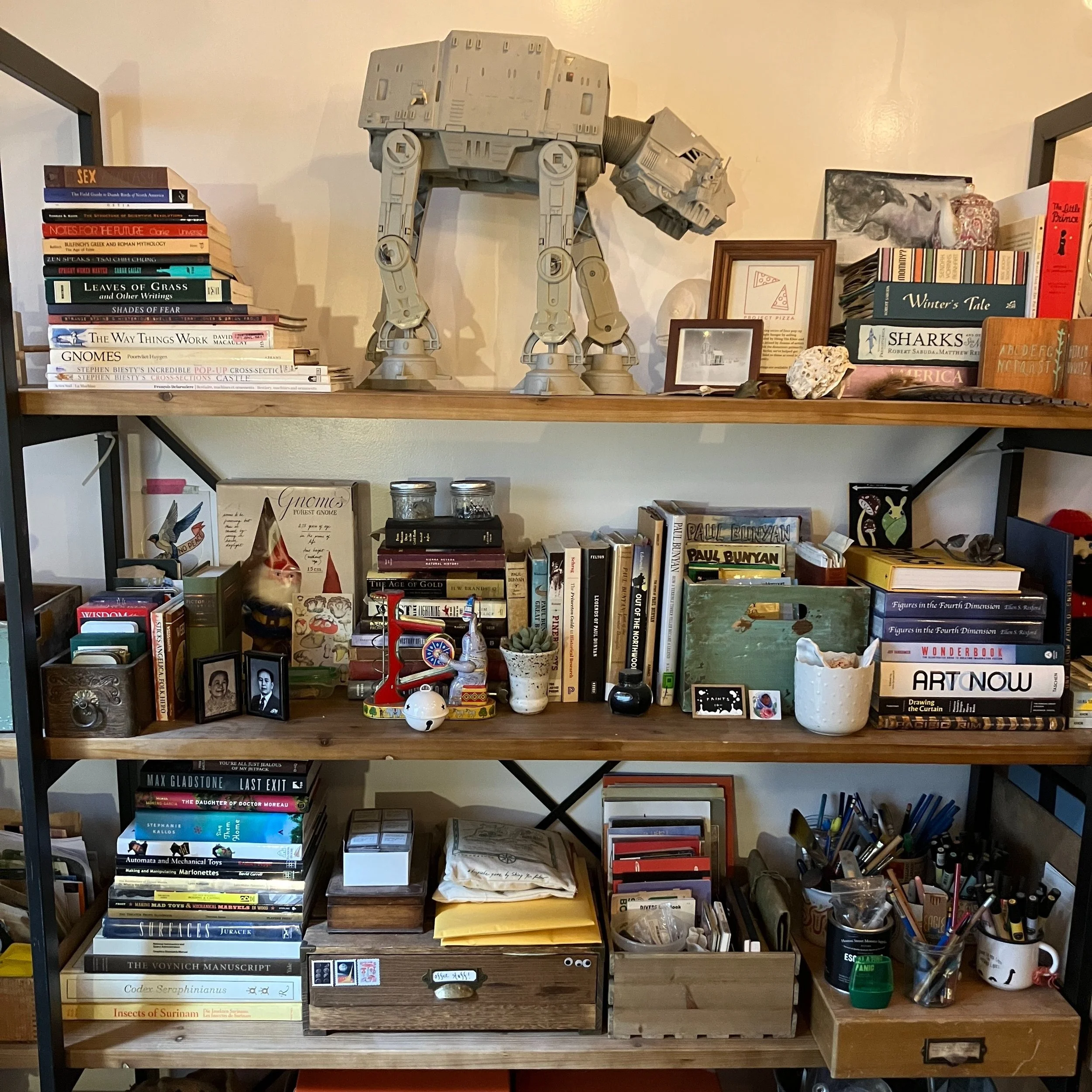 bookshelf.jpg