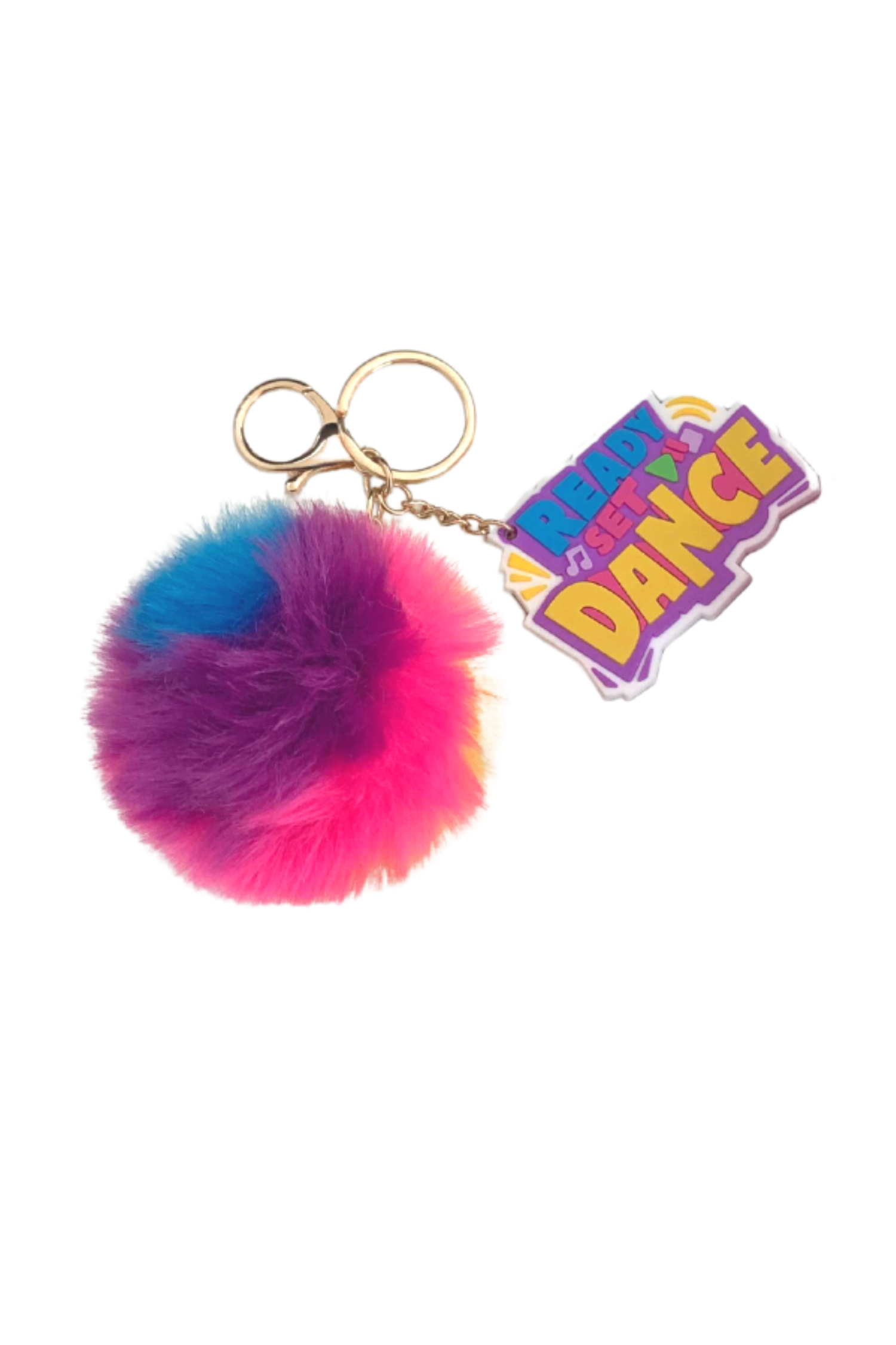 RSD Rainbow Pom Pom Bag Tag