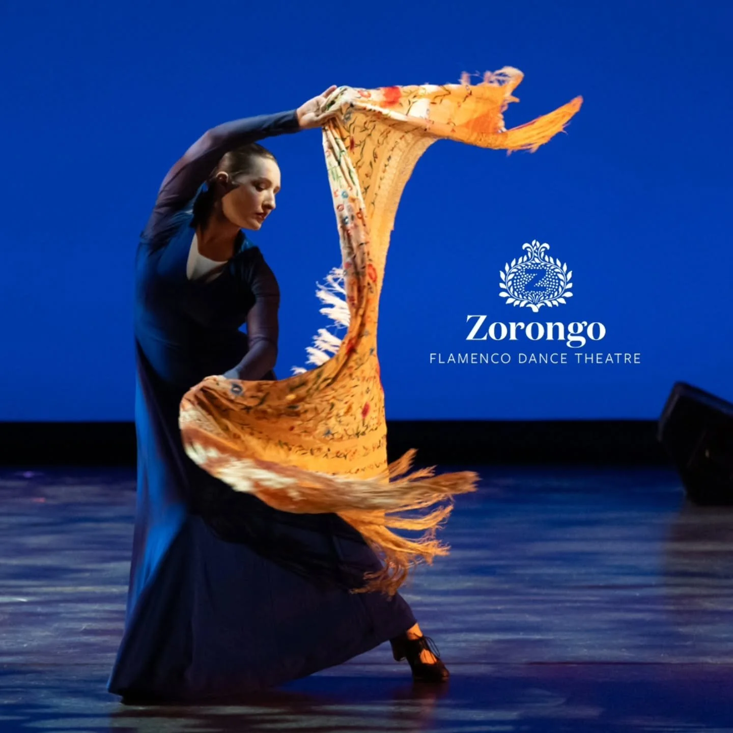 ✨ El mant&oacute;n: grace, strength, and story in motion.
In flamenco, the mant&oacute;n de Manila is more than a shawl. It&rsquo;s an extension of the dancer&rsquo;s soul. Every swirl, every flick of silk carries emotion, elegance, and centuries of 