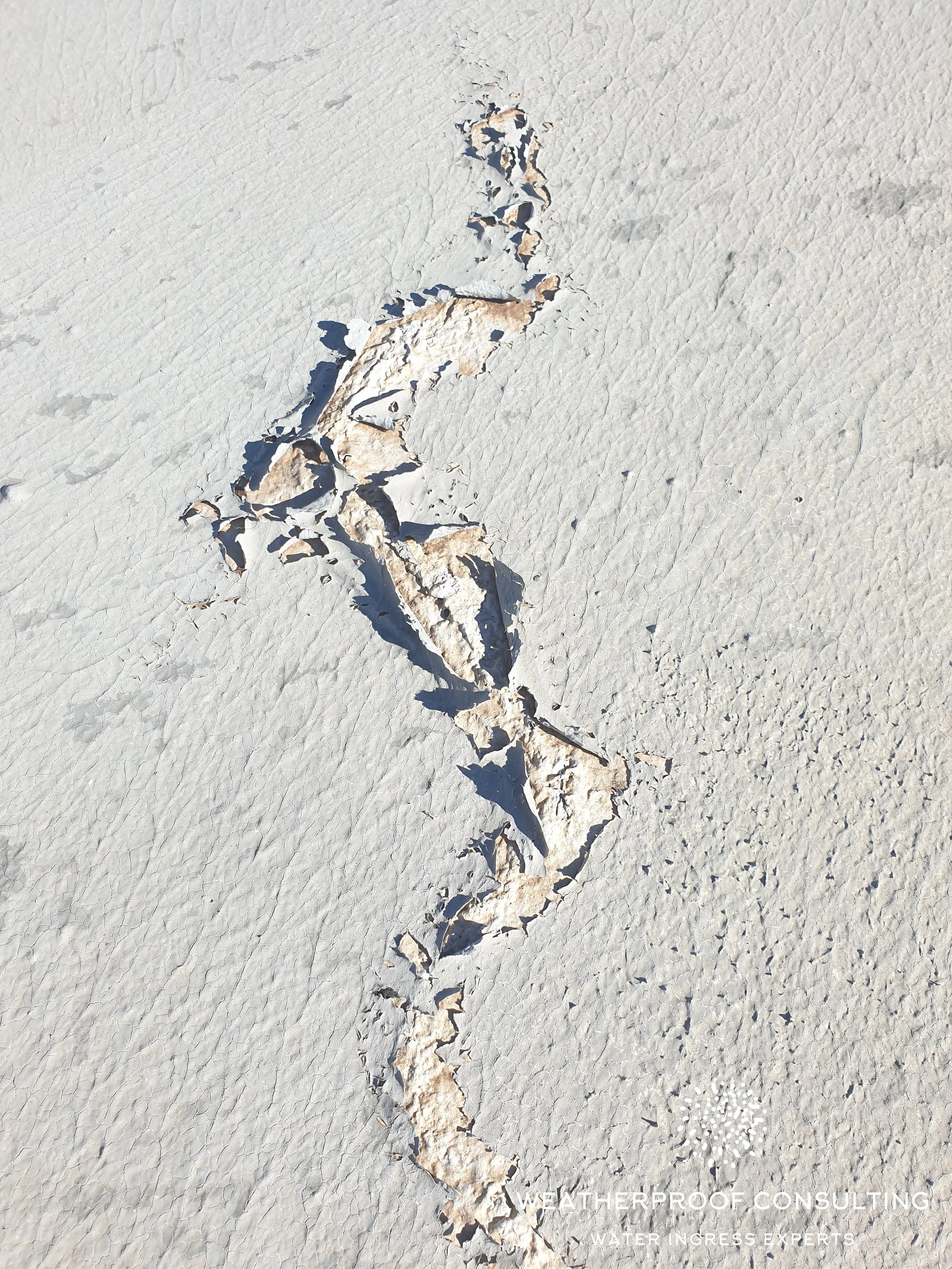 The Definitive Guide to Waterproofing Expertise: Forensic Consultancy and Litigation Support in Sydney