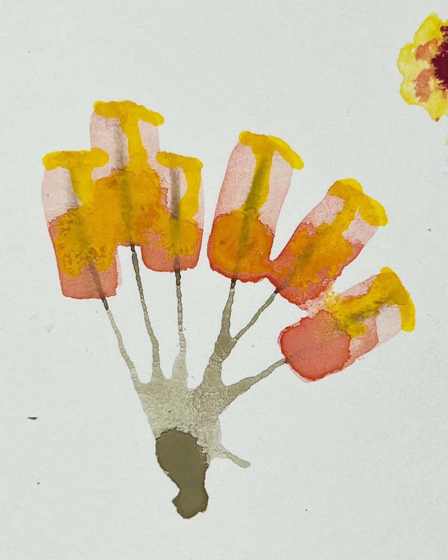 129E7545-A266-461E-8997-5AACBF7A6462.jpg