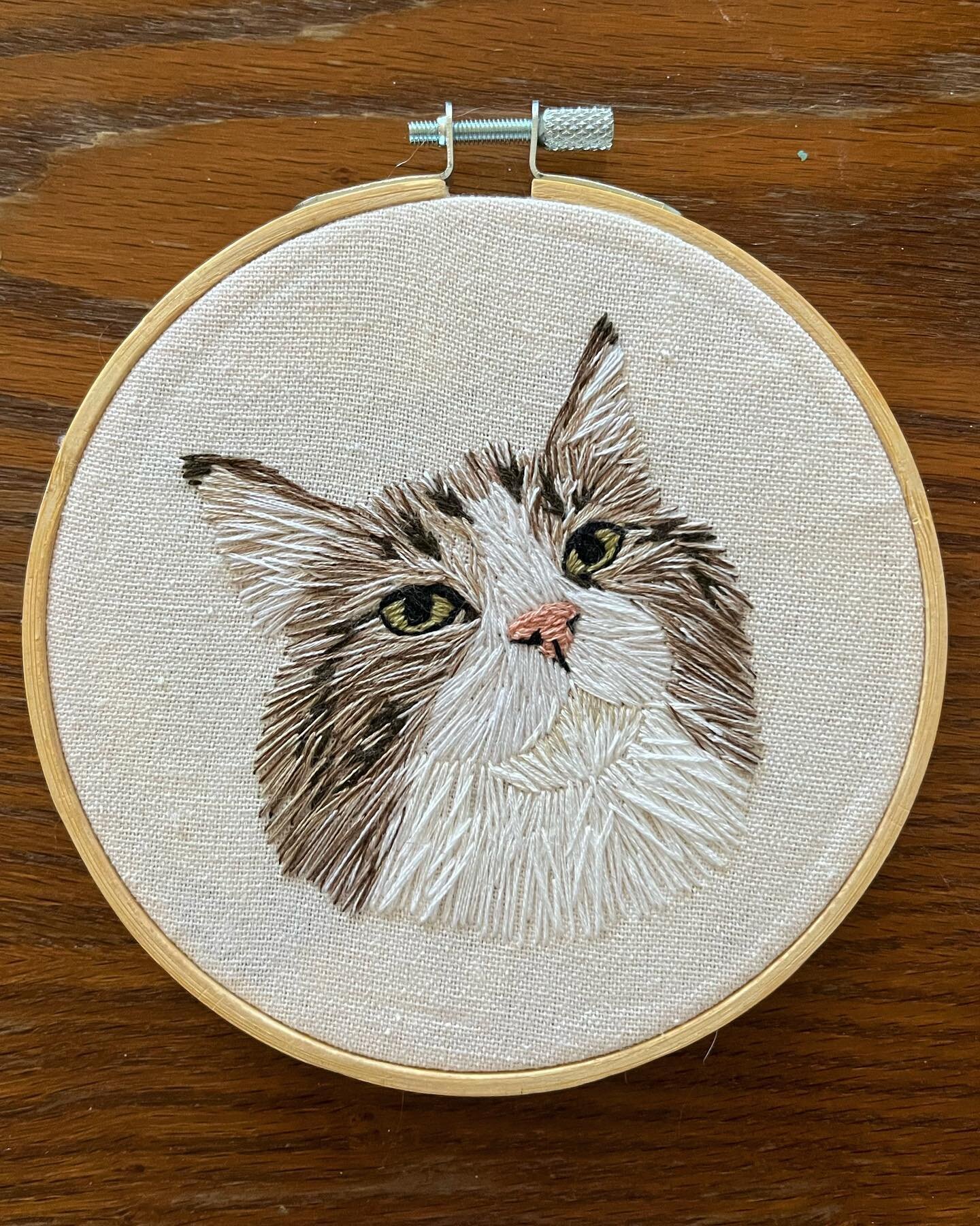 recent cats! meow meow meow!!