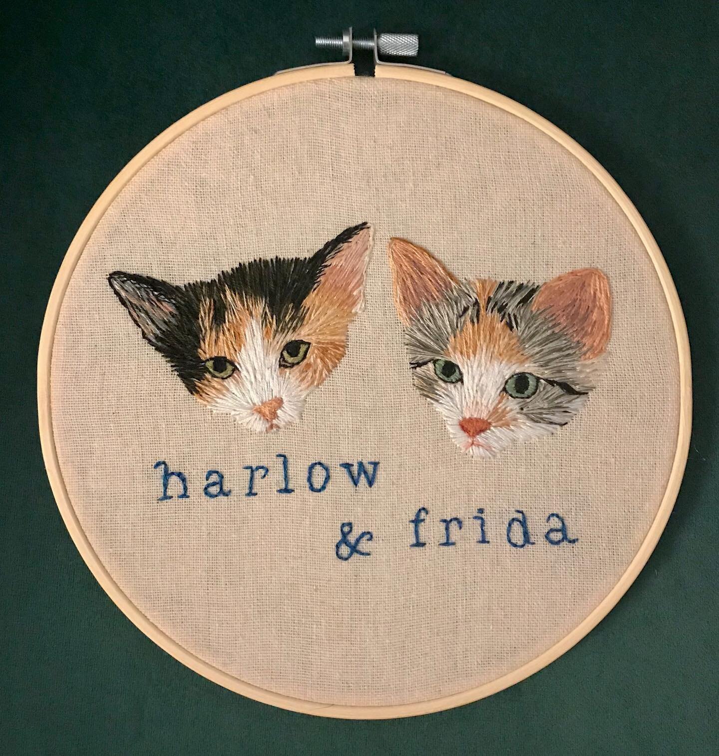 back to our regularly scheduled paw-rogramming... right?? puns??
