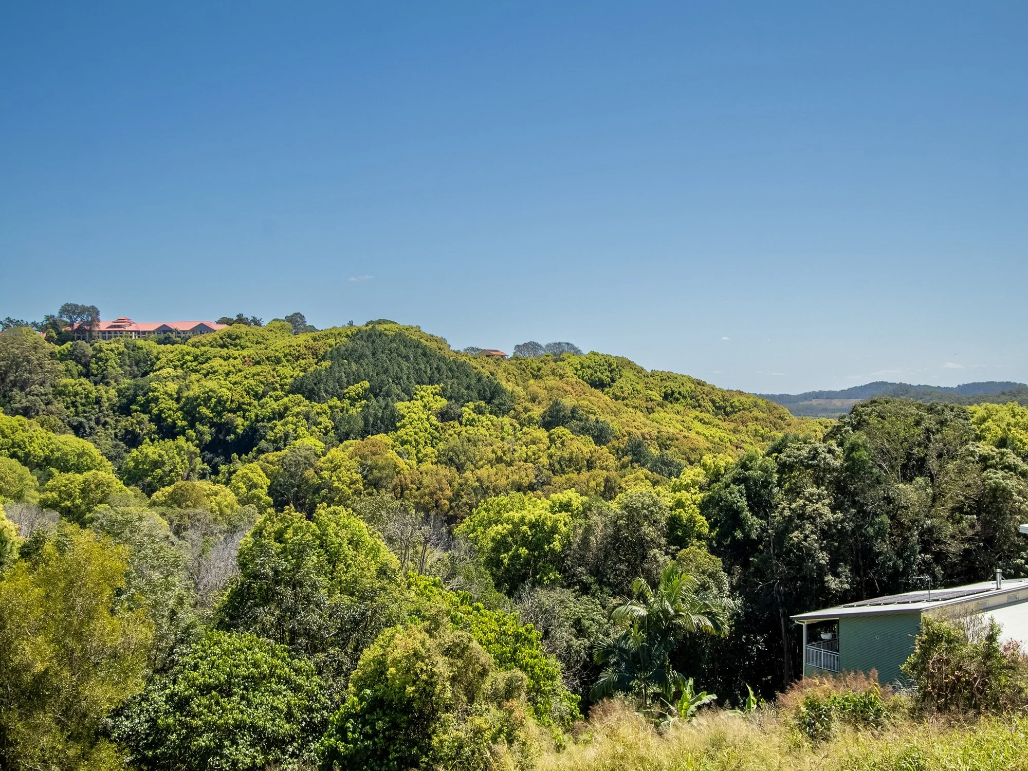 GV Images - Cupania Court_21.jpg