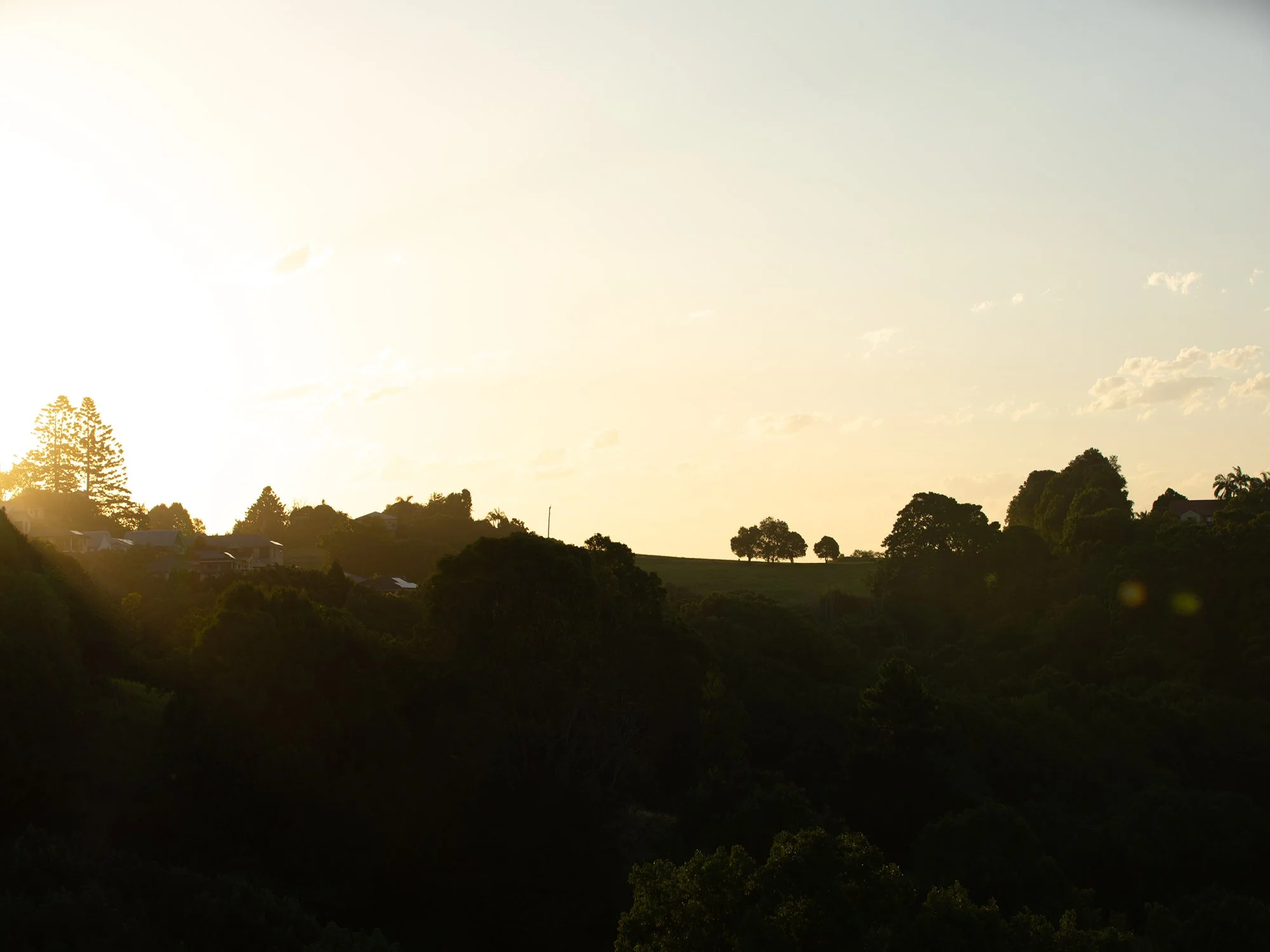 GV Images - Cupania Court_35.jpg