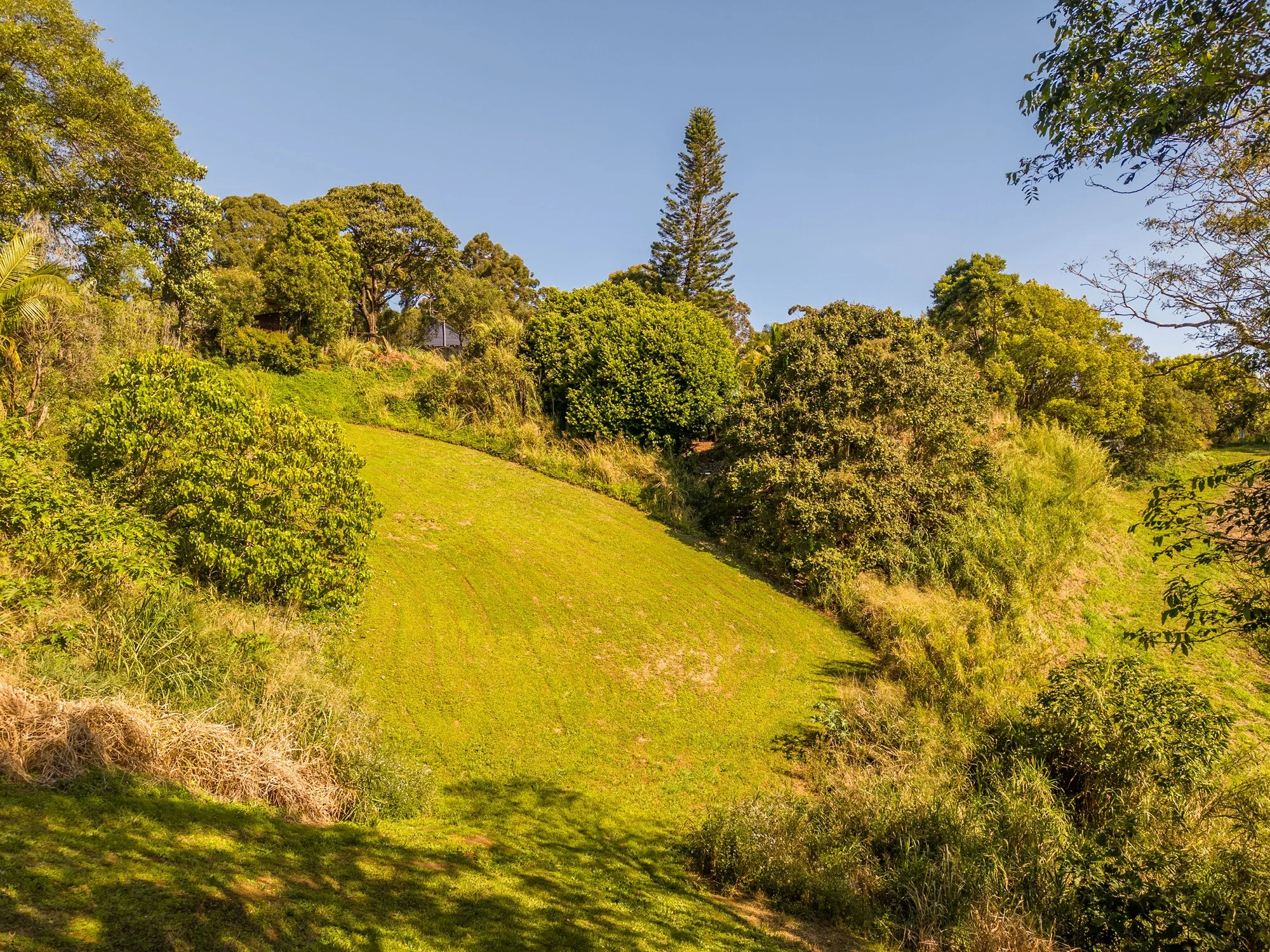 GV Images - Cupania Court_15.jpg