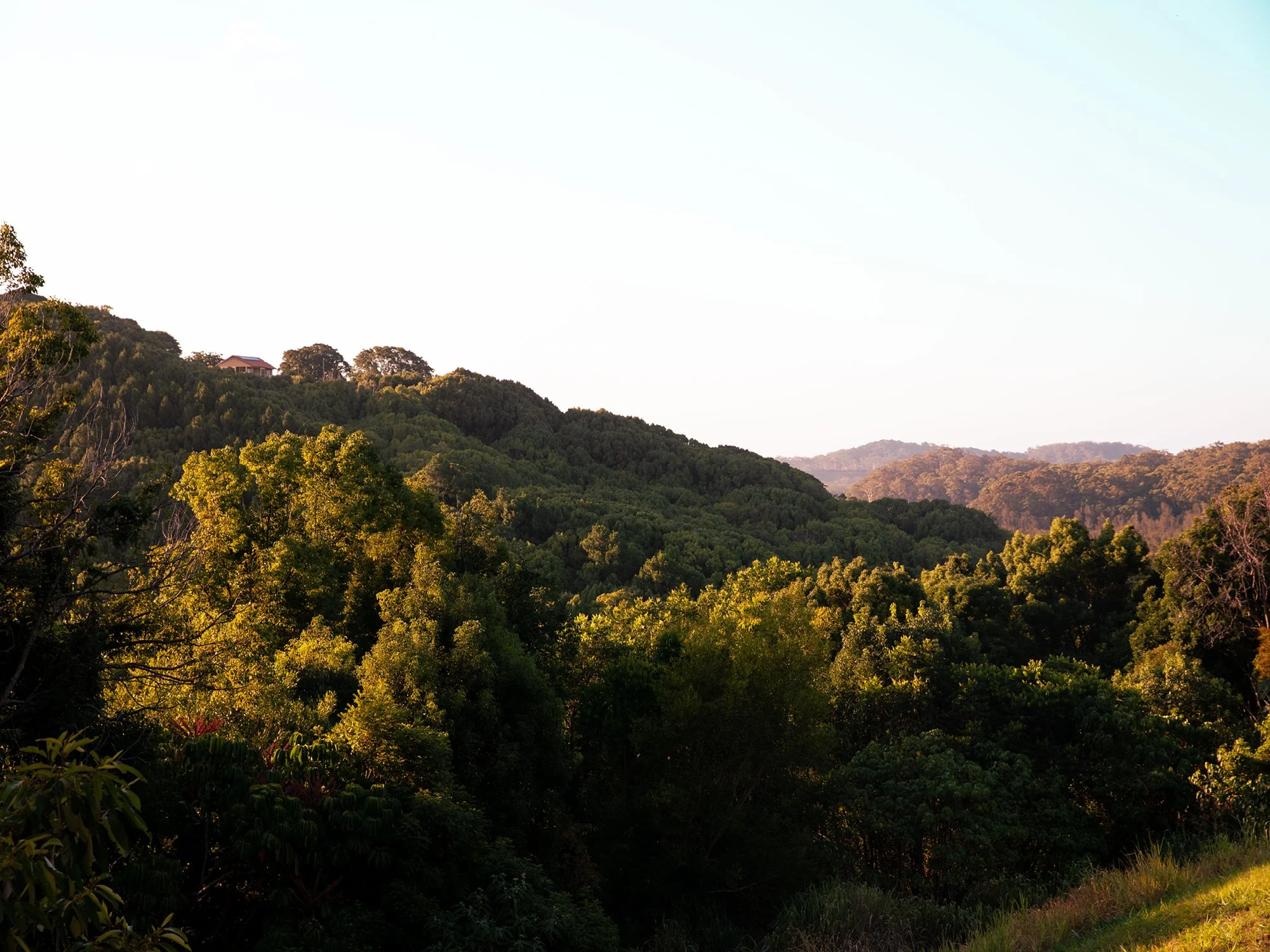 GV Images - Cupania Court_28.jpg
