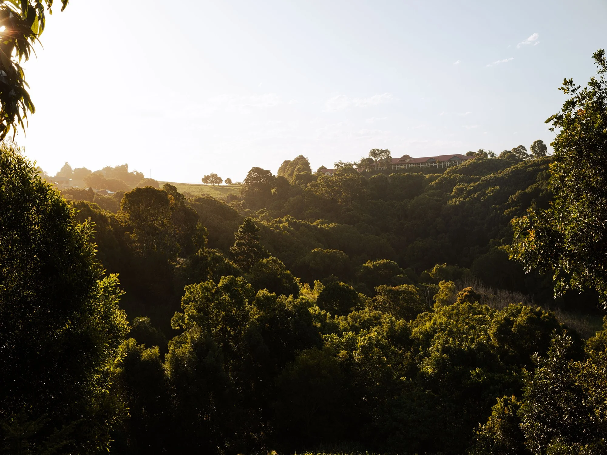 GV Images - Cupania Court_33.jpg