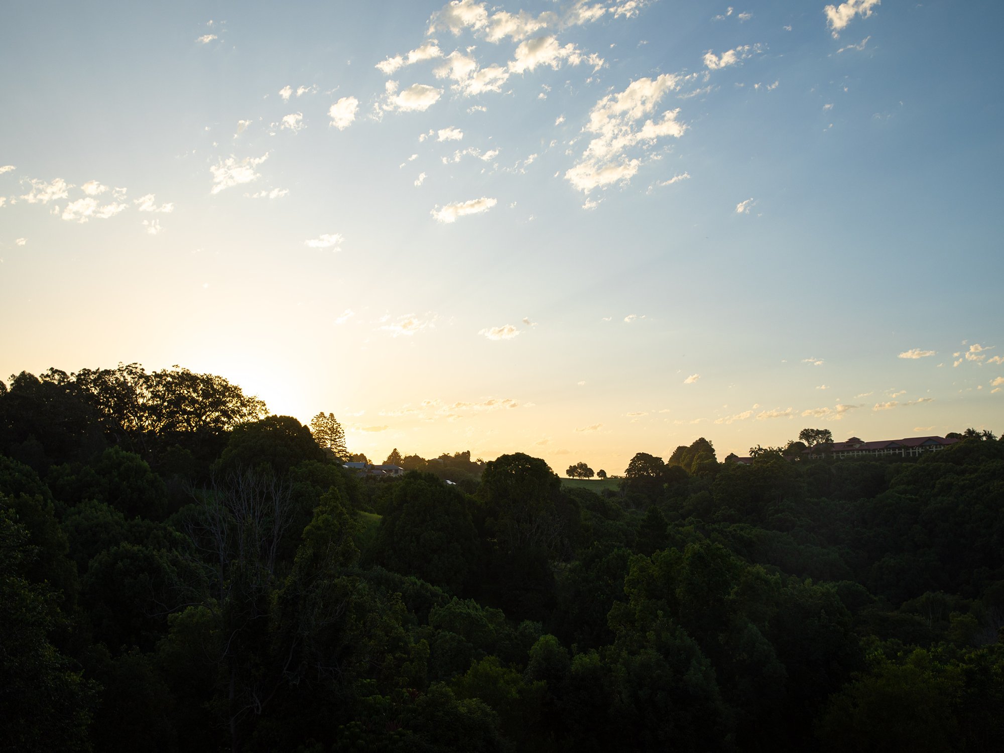 GV Images - Cupania Court_34.jpg