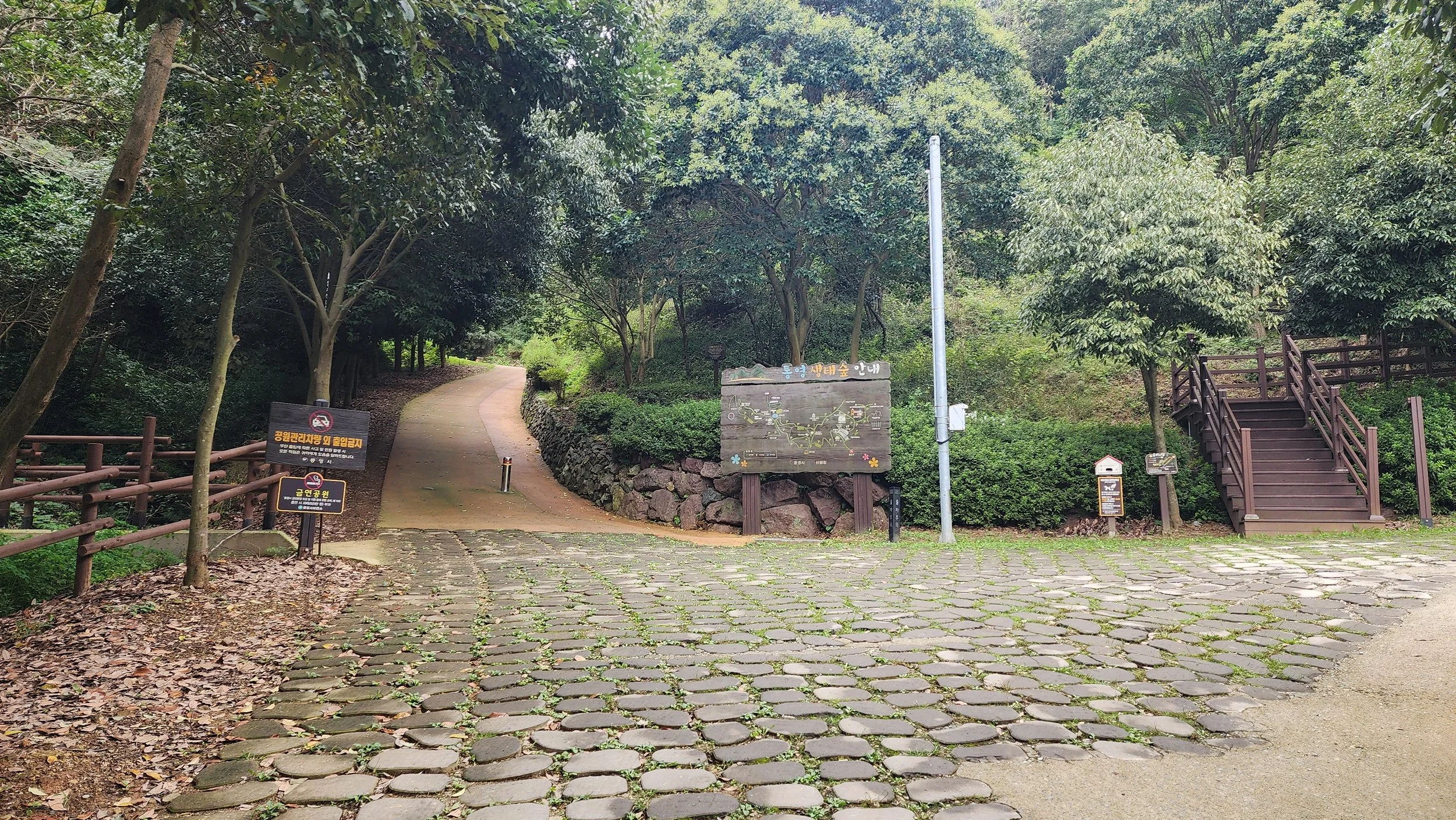 20251008_102859.jpg