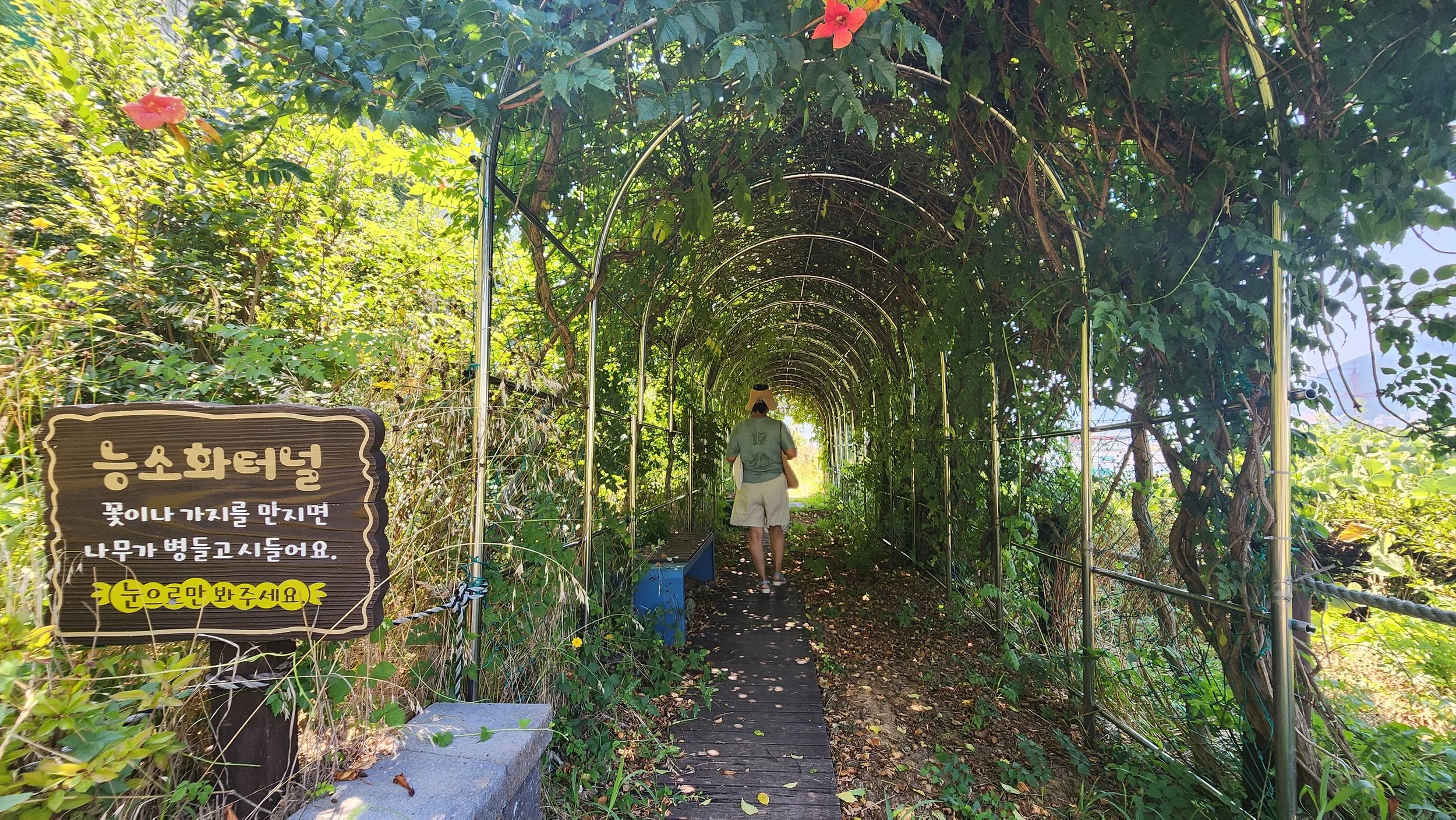 20250801_105925.jpg