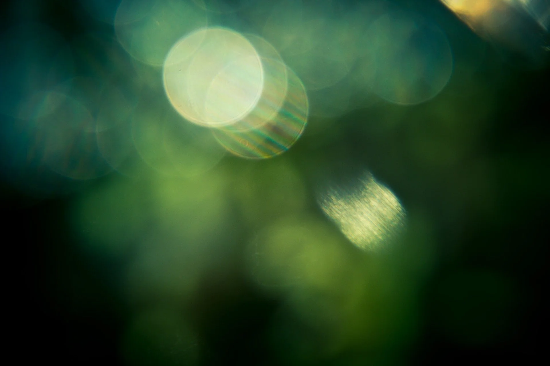 bokeh-g10eb6ee92_1920.jpg