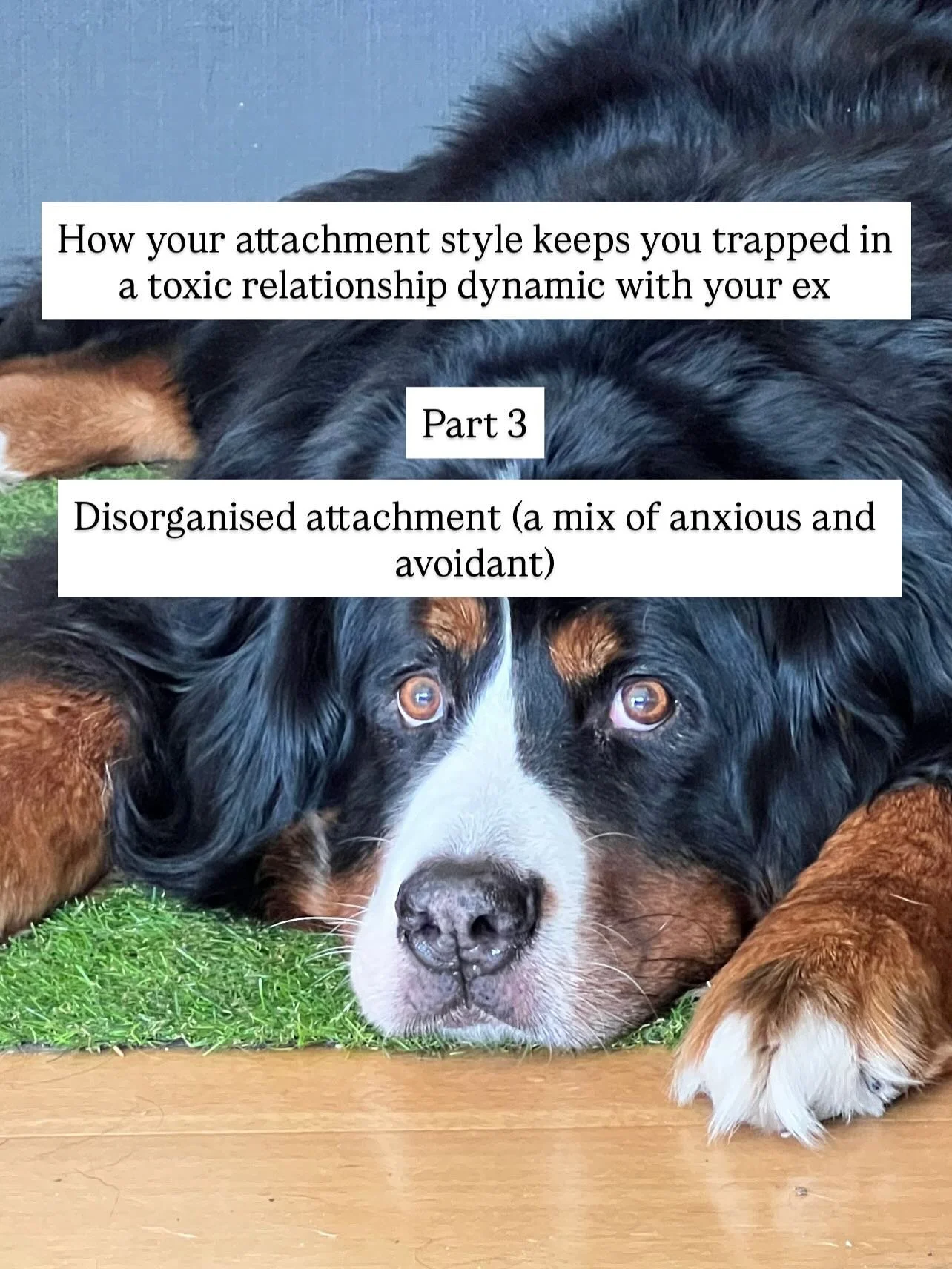 I read somewhere (I just cant remember where, so can&rsquo;t fact check this), that approximately 10% of the population have a mixture of avoidant and anxious attachment style, called disorganised attachment. Probably because, it is so all over the p