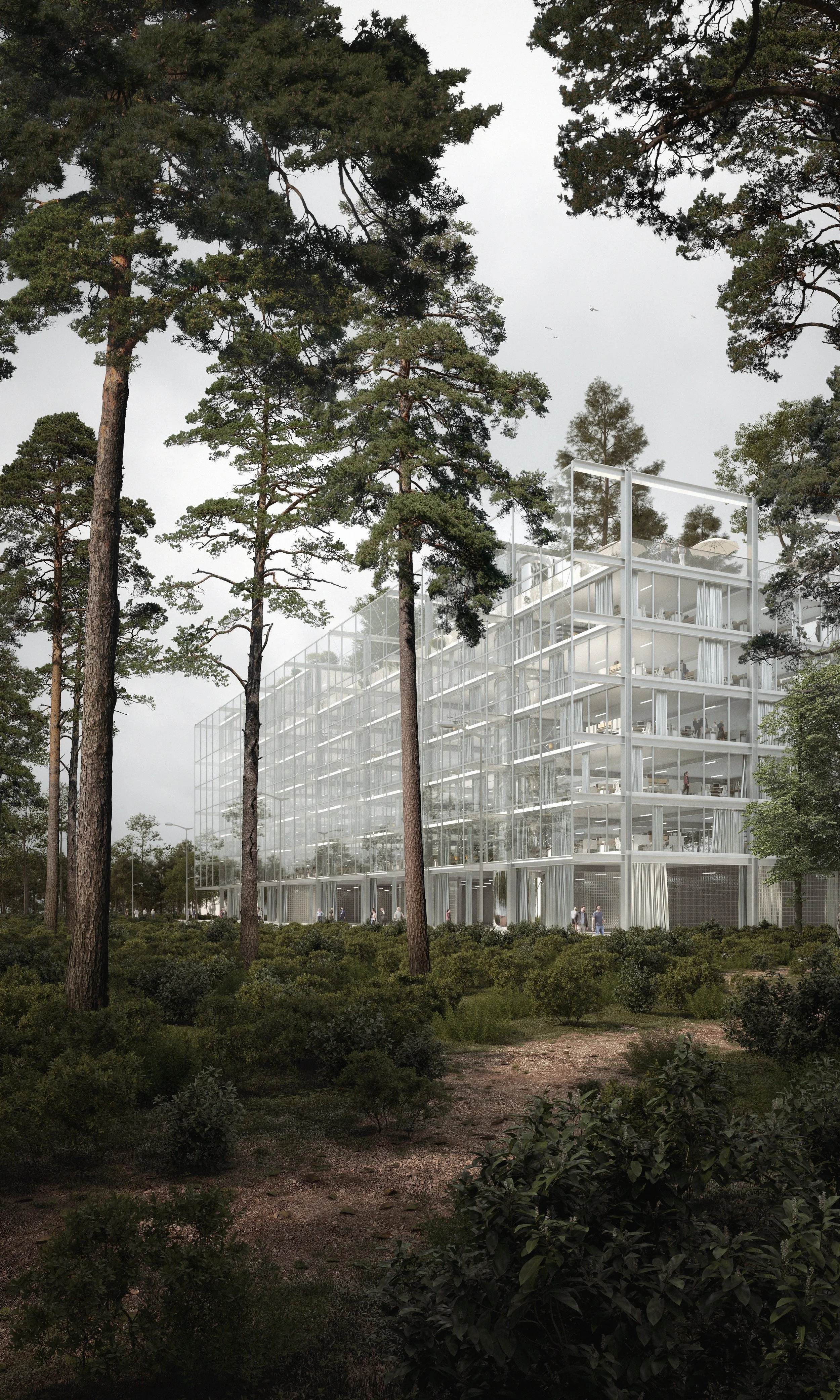 Bureau Vue Foret HD 20mo.jpg