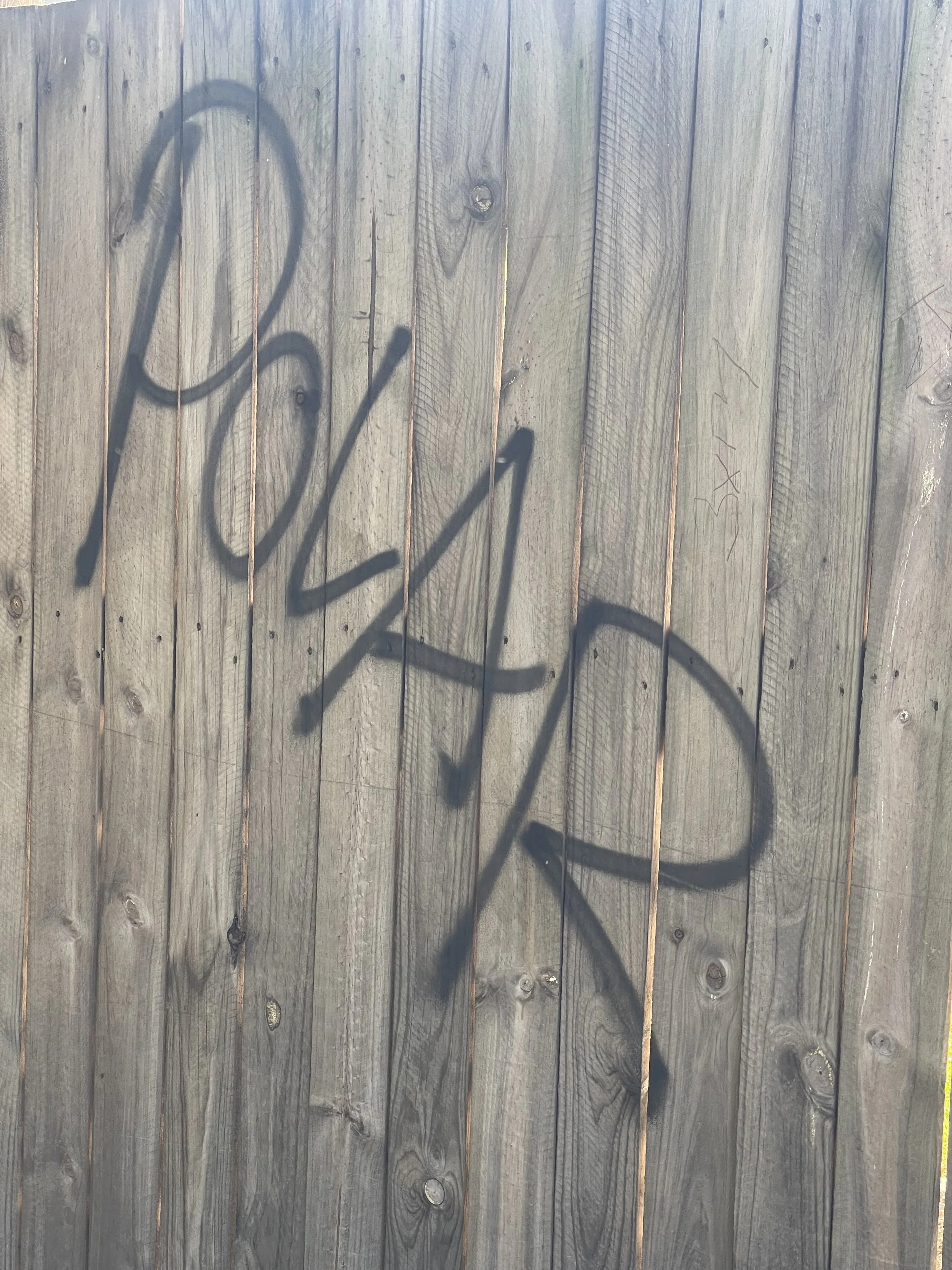 IMG_3136.jpeg