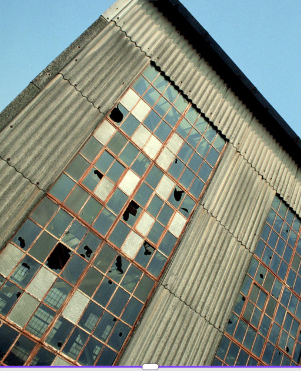 Our Services — Springleaf Advisors