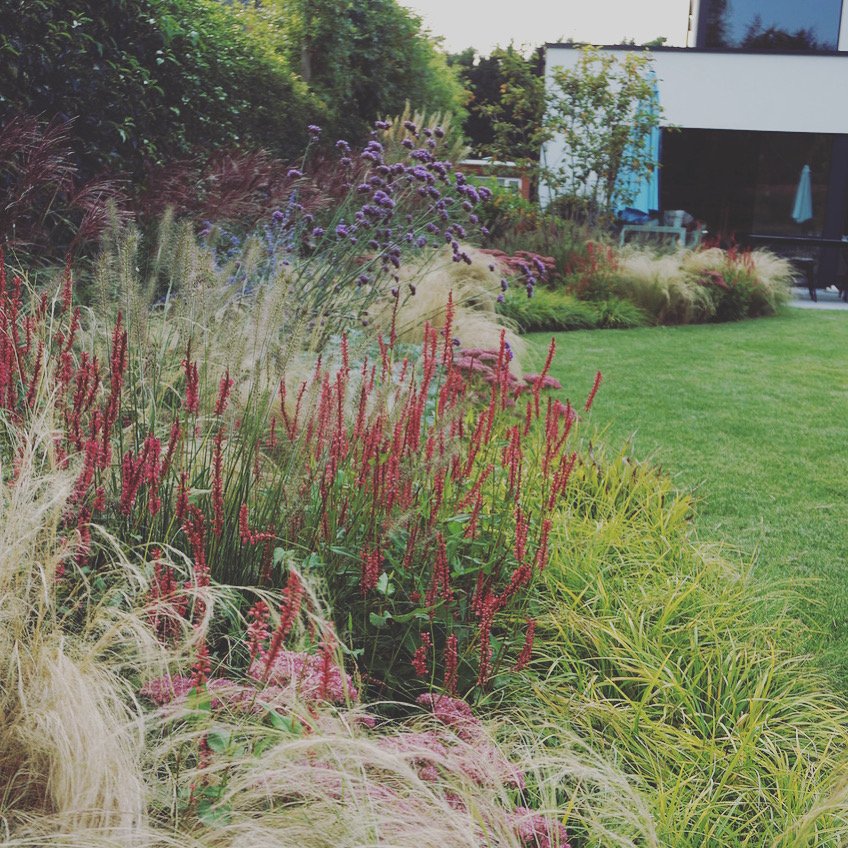 Kleurrijke onderhoudsvriendelijke tuin in Schilde.