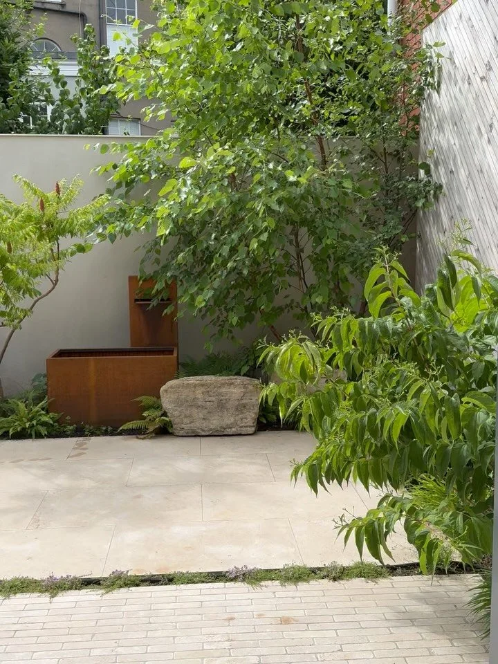 New Courtyard garden in the heart of Clifton Village! Planted in Spring. It&rsquo;s a very small space so narrow planting beds focus on providing height with lots of multistem trees. 
Dijon stackers and slabs are used in combination to give interest 