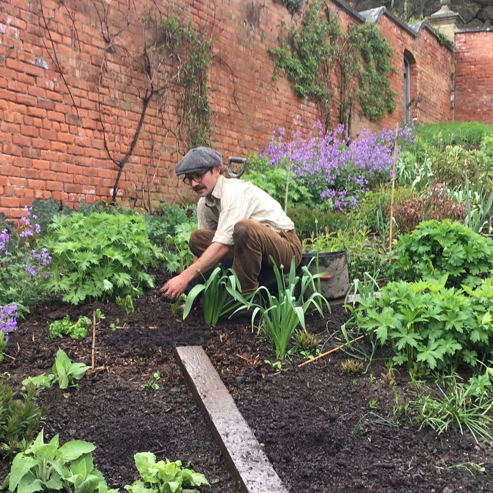 A moustached man wearing a flat cap is crouched down working in a flower bed.