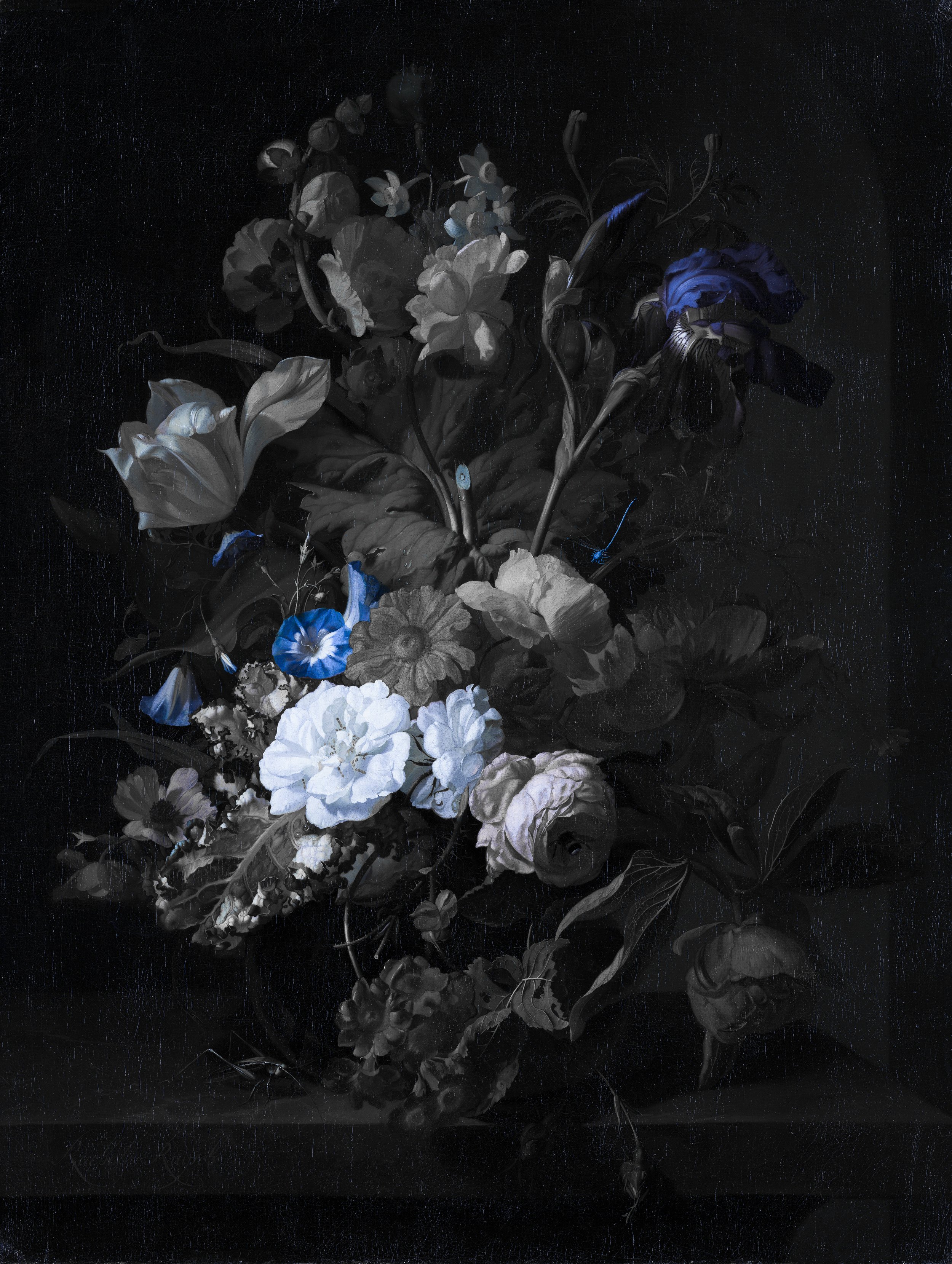 Rachel_Ruysch_-_Vase_with_Flowers_-_151_-_Mauritshuis.jpg